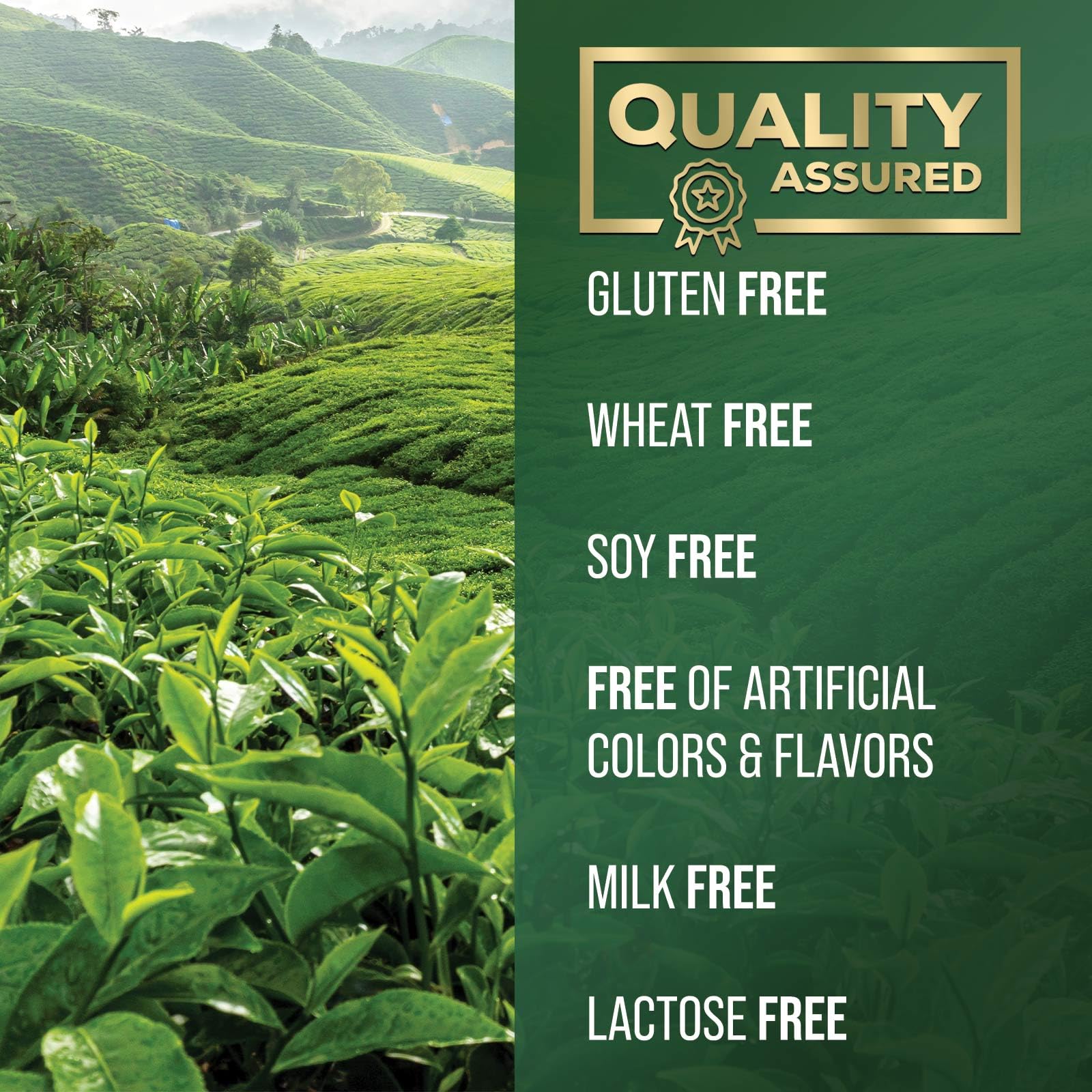 Illustration representing Nature's Nutrition green tea extract dietary supplement