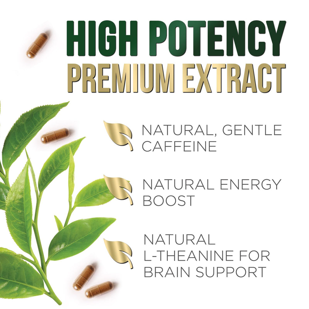 Lifestyle packaging shot for Nature's Nutrition green tea extract capsules