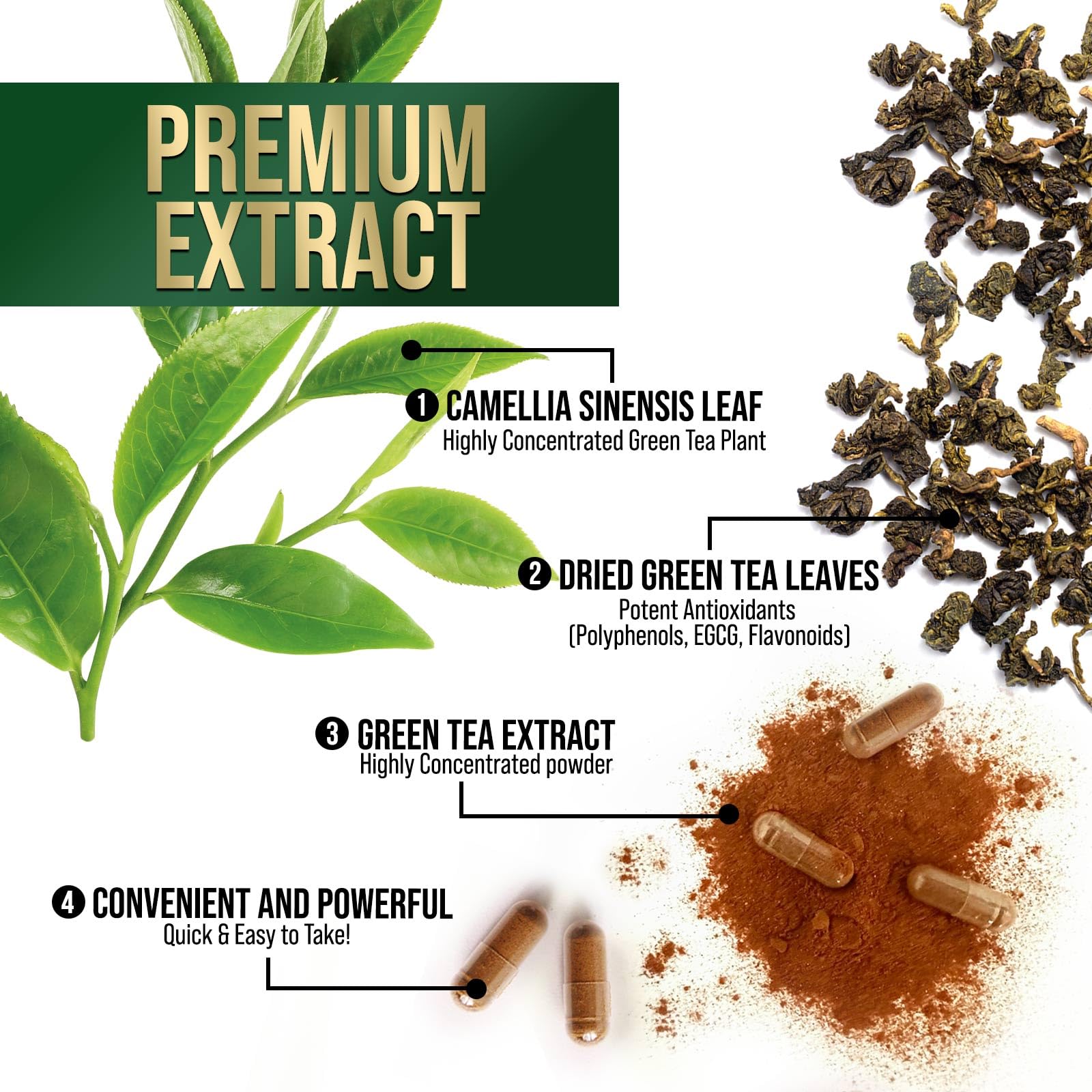 Nature's Nutrition Green Tea Extract capsules in hand to convey portability