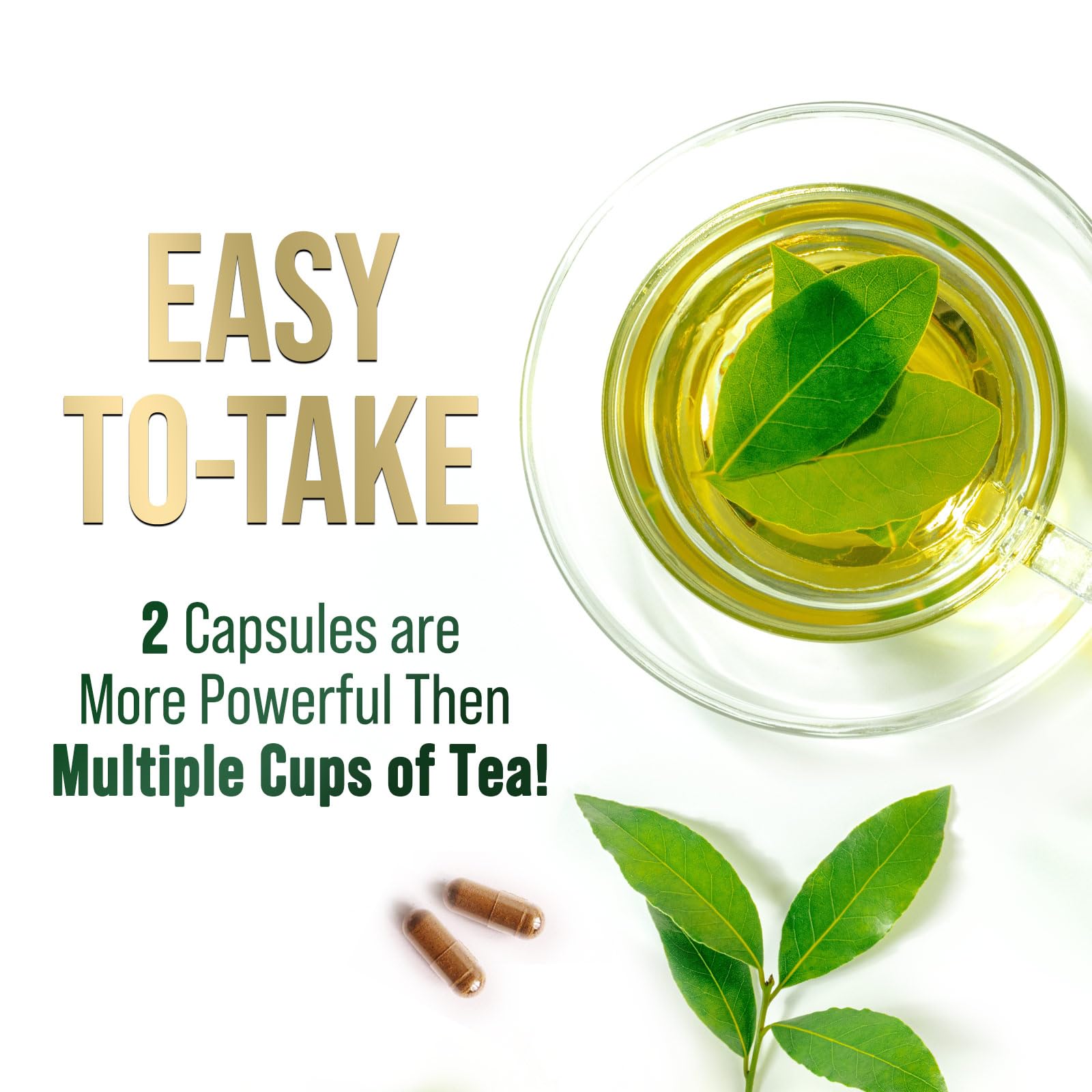 Nature's Nutrition Green Tea Extract capsules ingredients closeup highlighting polyphenols