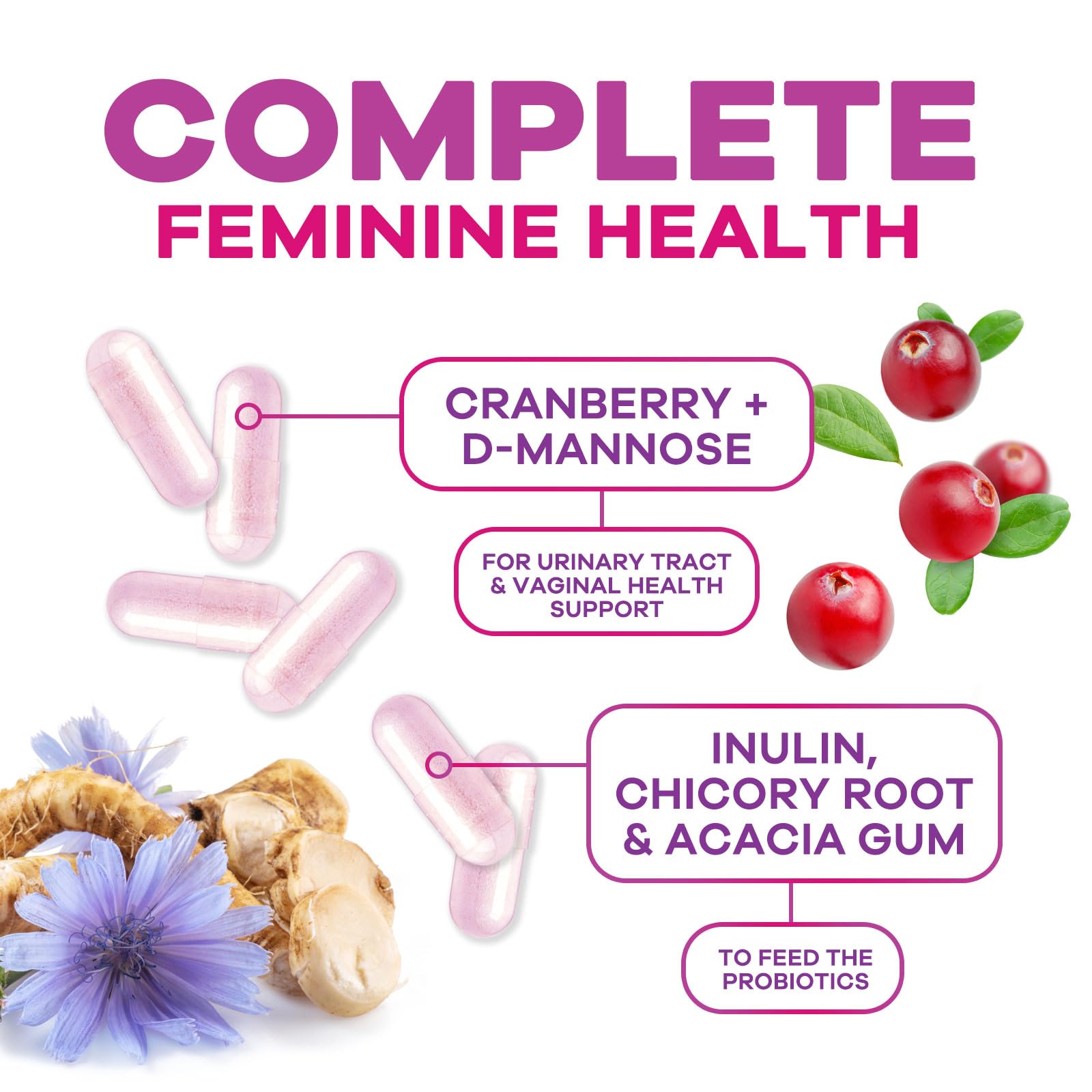 Lactobacillus strains represented in Nature's Nutrition formula