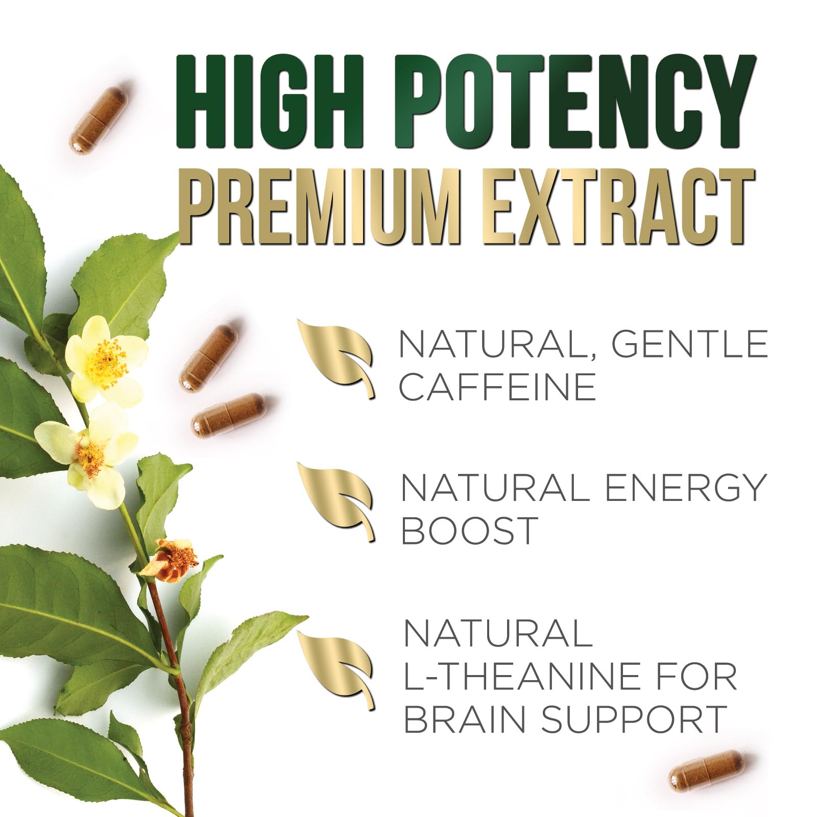 Nature's Nutrition Non-GMO seal emphasizes clean sourcing.