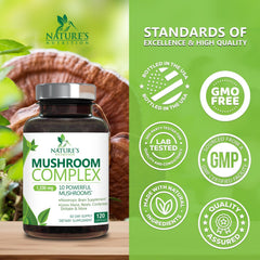Nature's Nutrition Reishi capsules emphasizing calm, steady energy