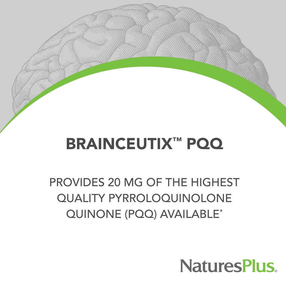 Brainceutix PQQ capsules ready for daily cognitive support.