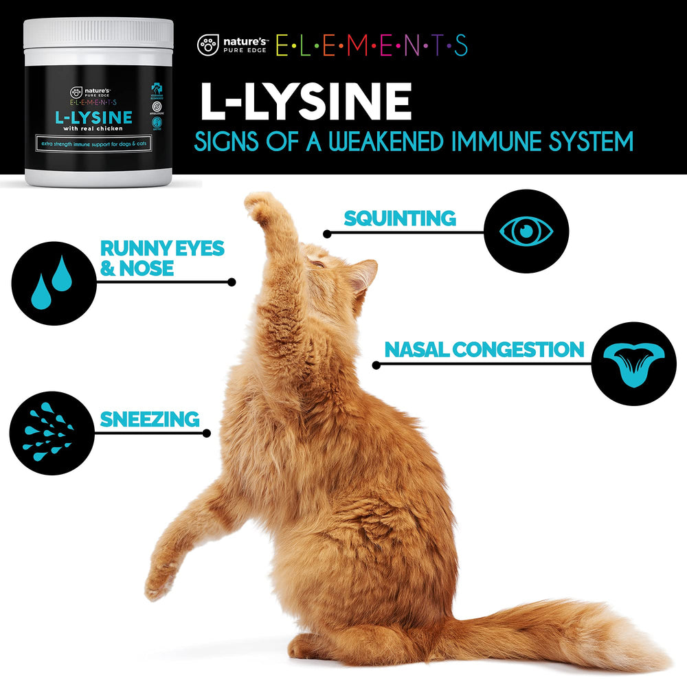 Nature's Pure Edge L-Lysine powder mixed into dry food for easier feeding.