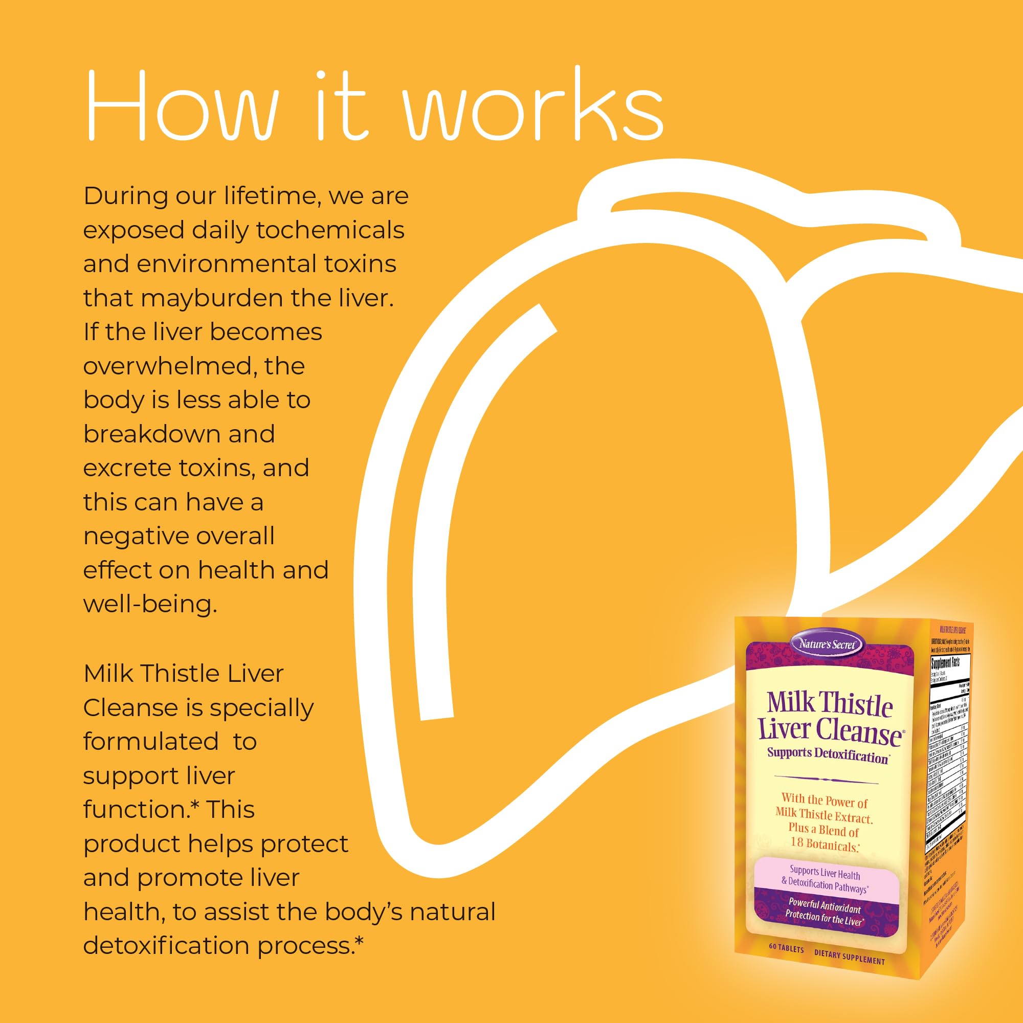 Two-bottle Nature's Secret Milk Thistle Liver Cleanse twin-pack on display