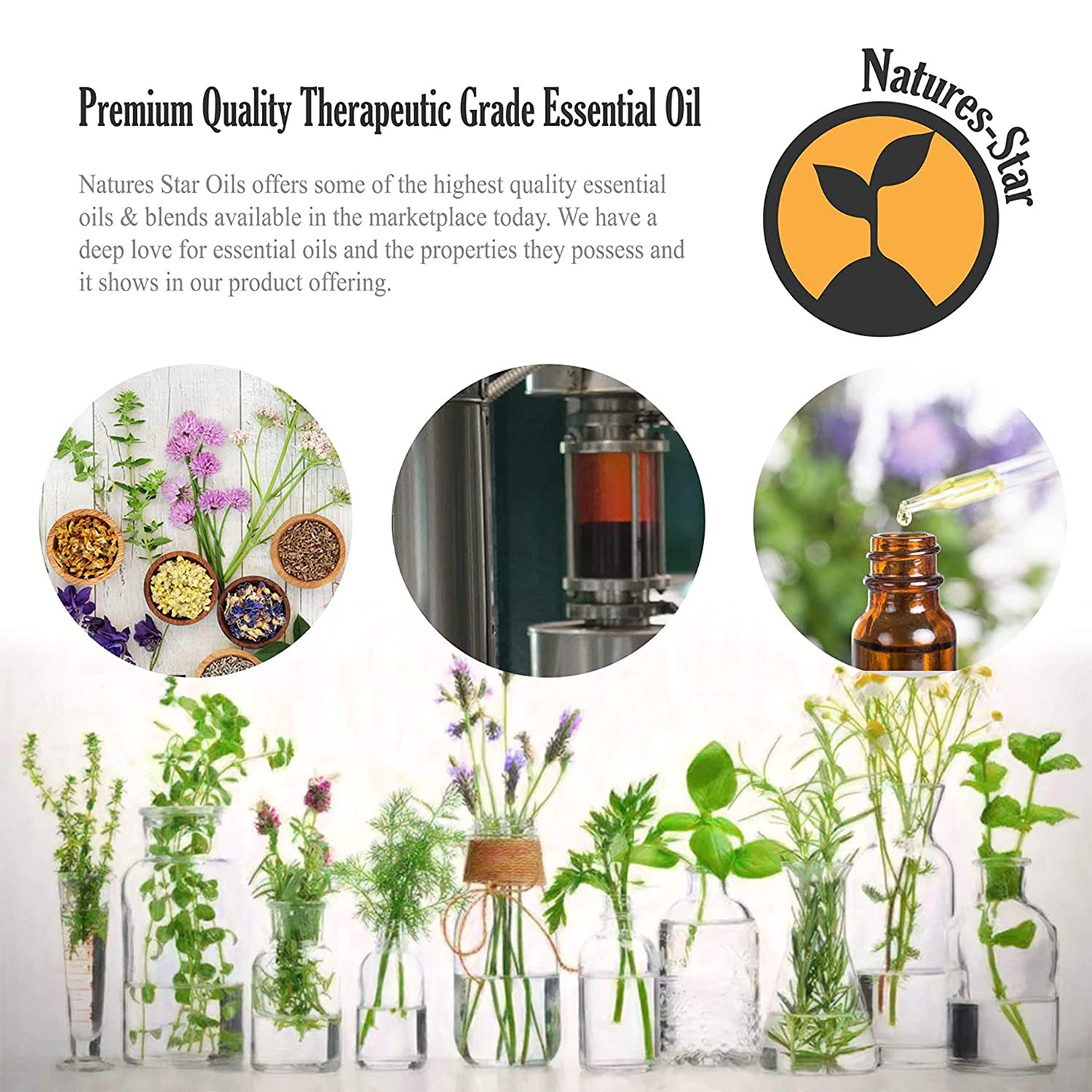 Natures-Star Lavender oil diffuser-ready bottle enhancing daily aromatherapy.
