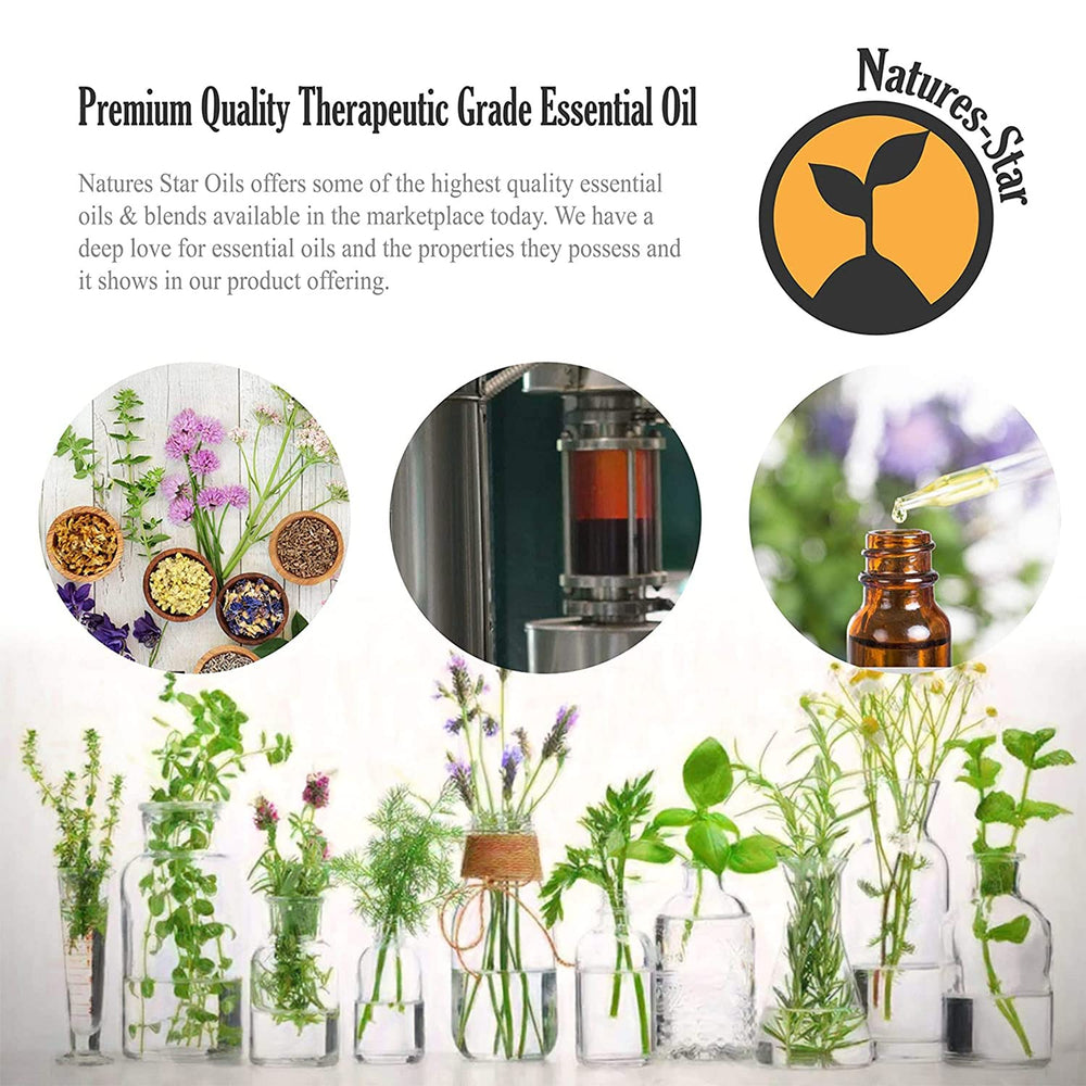 Natures-Star Lavender oil diffuser-ready bottle enhancing daily aromatherapy.