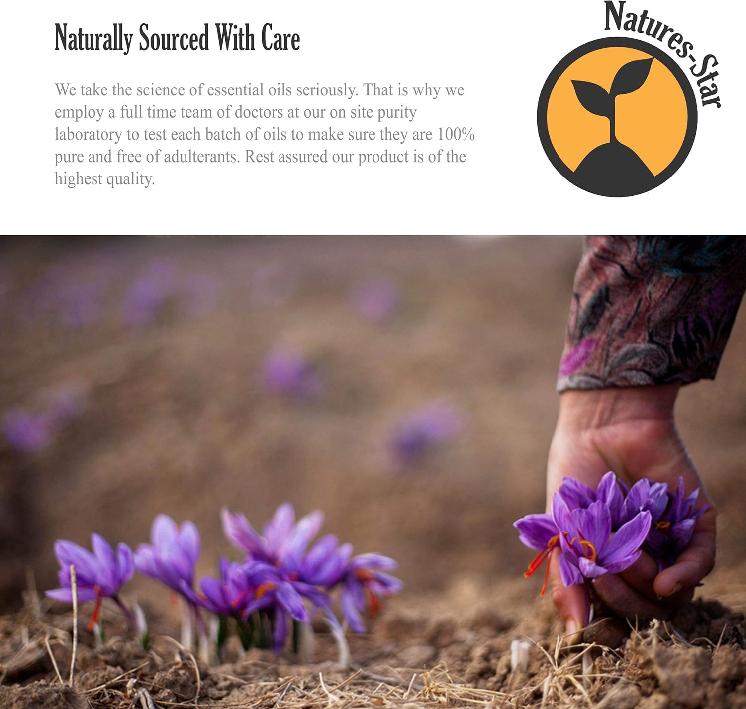 Natures-Star Tea Tree Oil for hair care, supports vibrant-looking hair when blended.