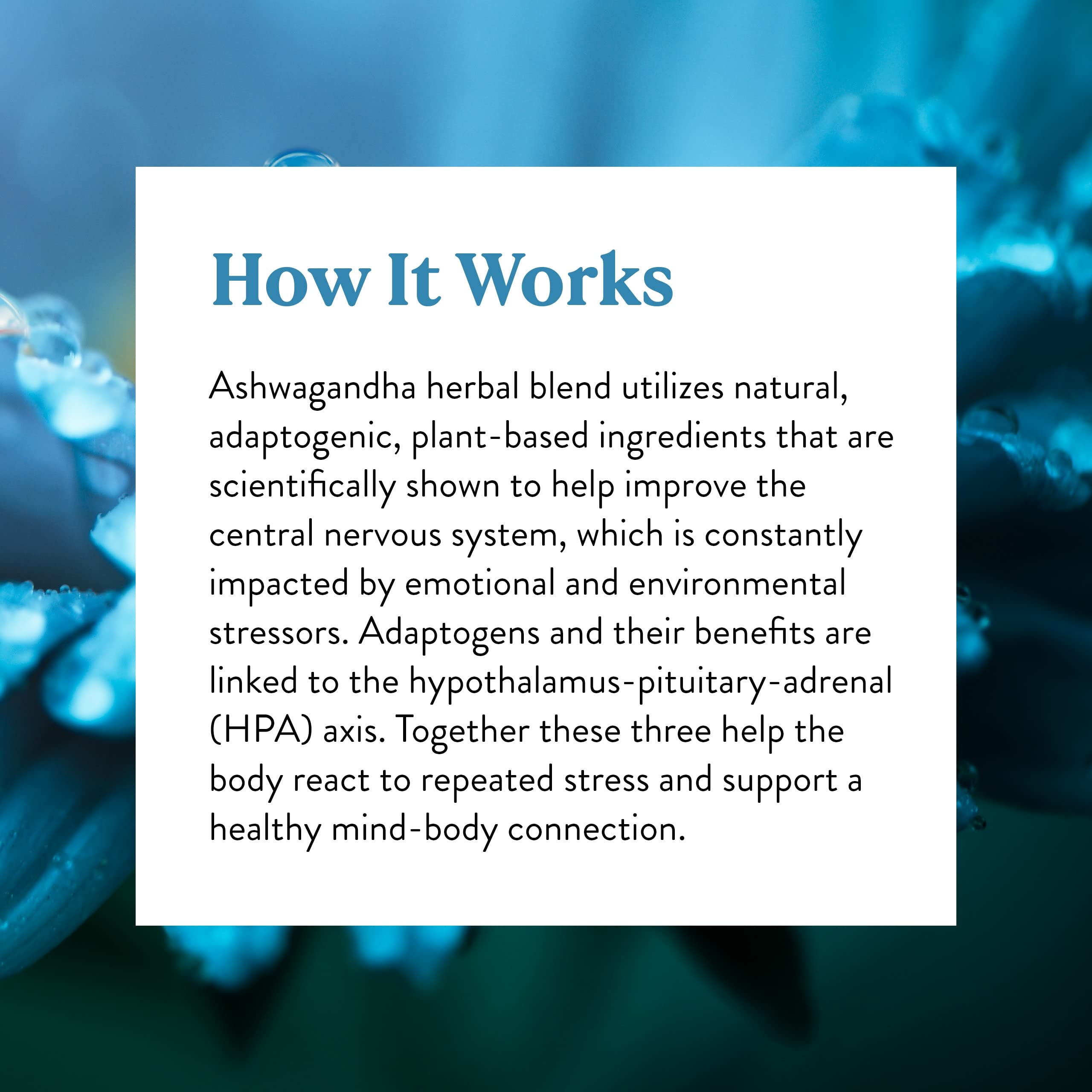 Storage and packaging of Nature's Sunshine Ashwagandha for convenient use