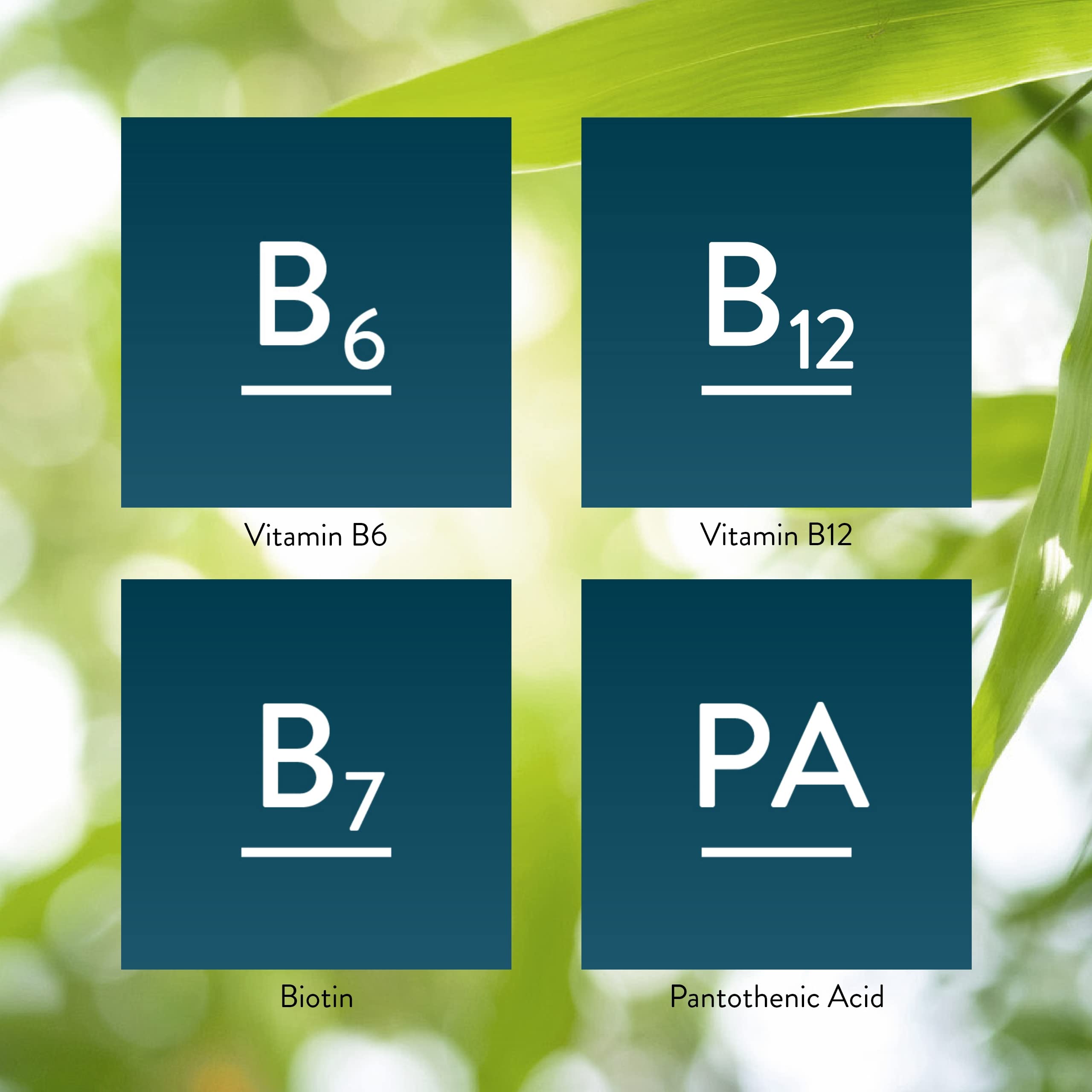 Nature's Sunshine Balanced B-Complex ingredient overview image