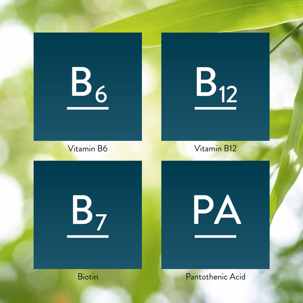 Nature's Sunshine Balanced B-Complex ingredient overview image