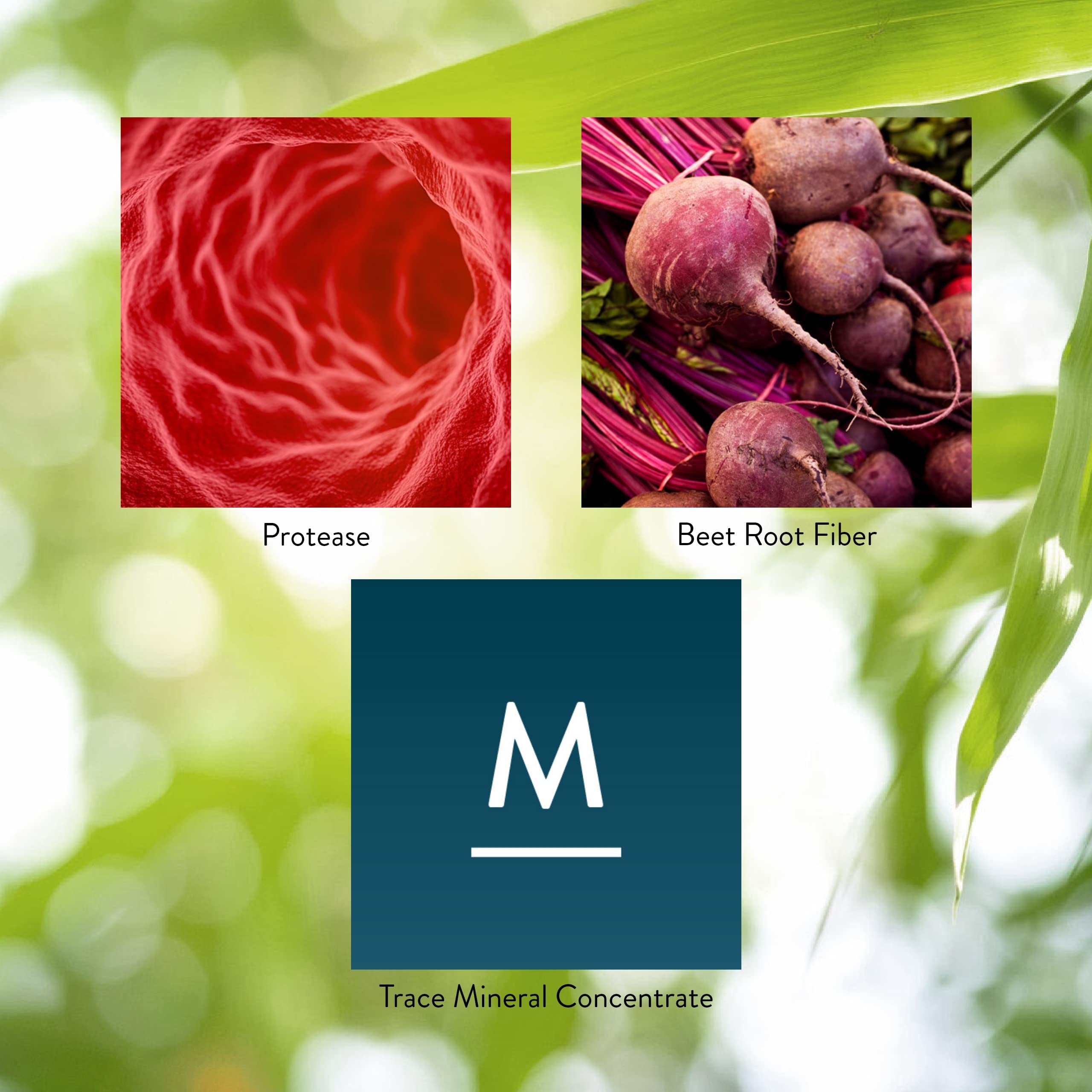Nature's Sunshine beet root fiber visual within the formula