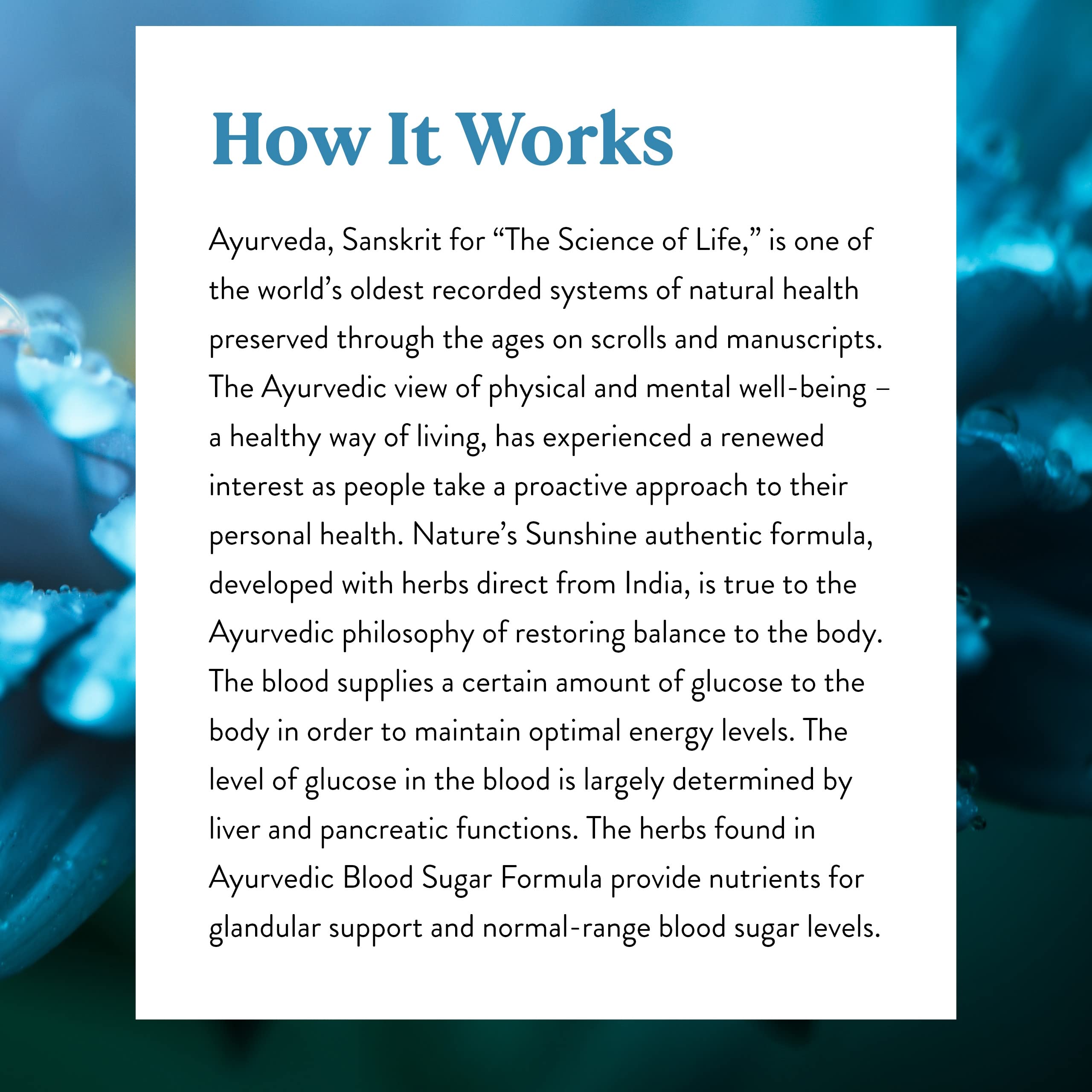 Nature's Sunshine Blood Sugar Formula testing document close-up emphasizes quality assurance.