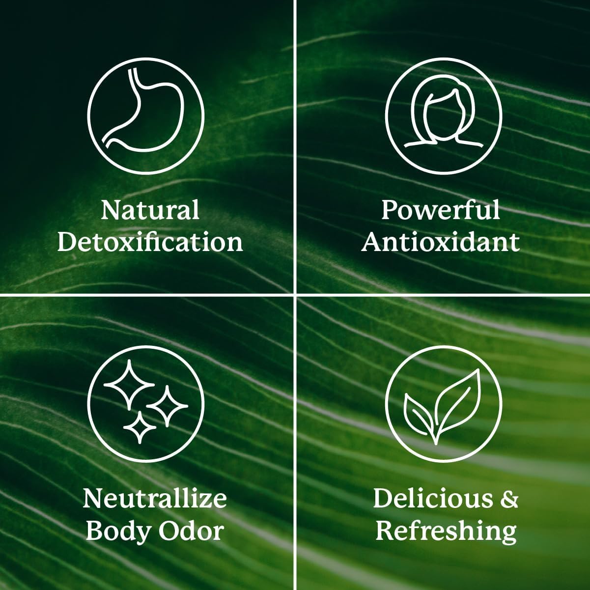 Glass with prepared chlorophyll melon drink highlighting a ready-to-drink wellness moment.