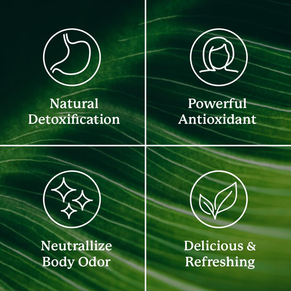 Glass with prepared chlorophyll melon drink highlighting a ready-to-drink wellness moment.