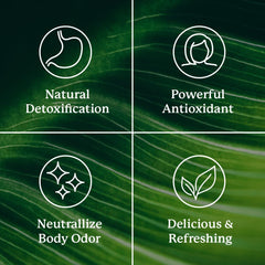 Glass with prepared chlorophyll melon drink highlighting a ready-to-drink wellness moment.