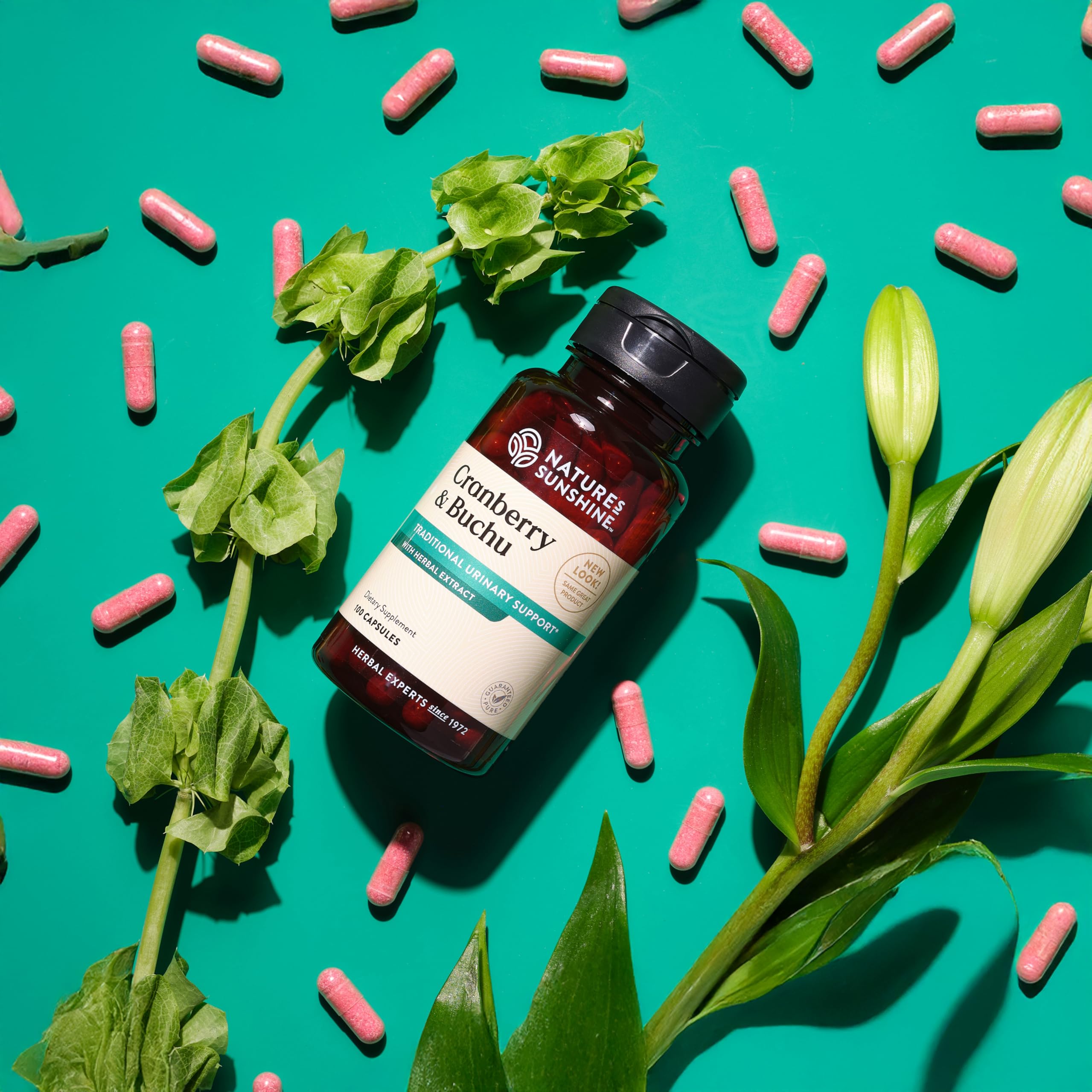Packaging box of Nature's Sunshine Cranberry & Buchu Concentrate