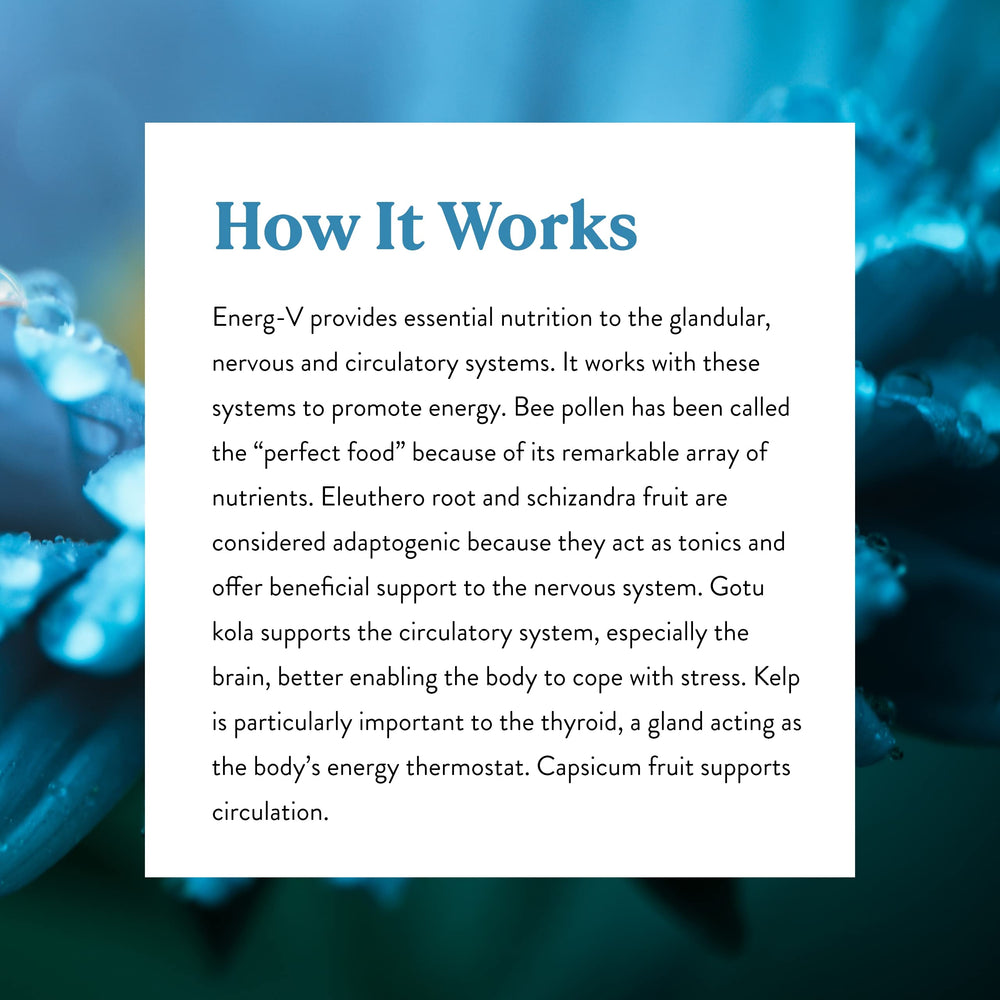Nature's Sunshine Energ-V capsules with ingredients graphic highlight the blend