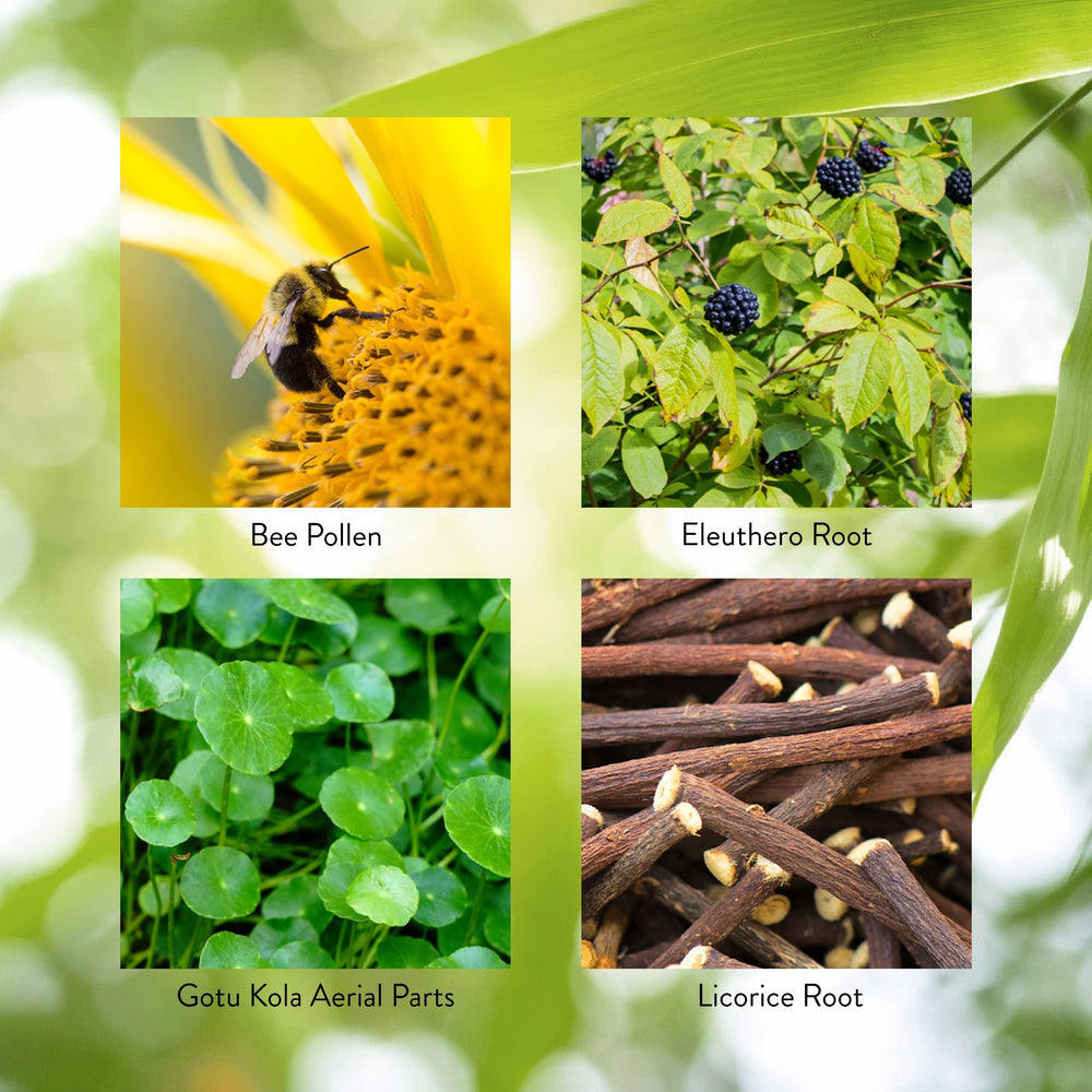 Nature's Sunshine Energ-V bottle on shelf conveys an easy wellness habit