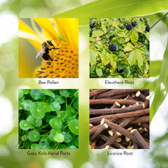 Nature's Sunshine Energ-V bottle on shelf conveys an easy wellness habit