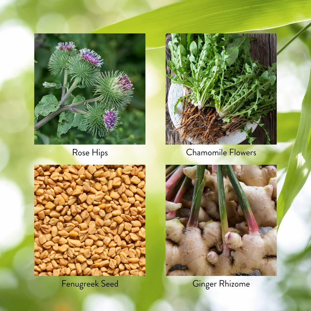 Nature's Sunshine Enviro-Detox packaging box suggests a ready-to-use wellness choice