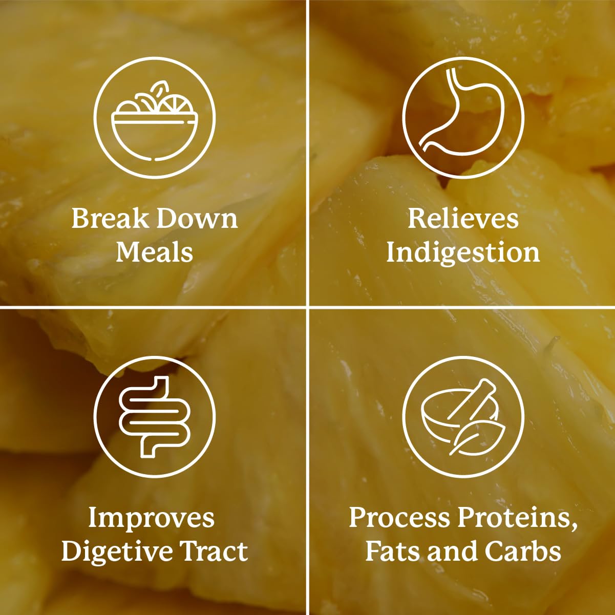 Nature's Sunshine Food Enzymes bromelain component highlights protein digestion support.