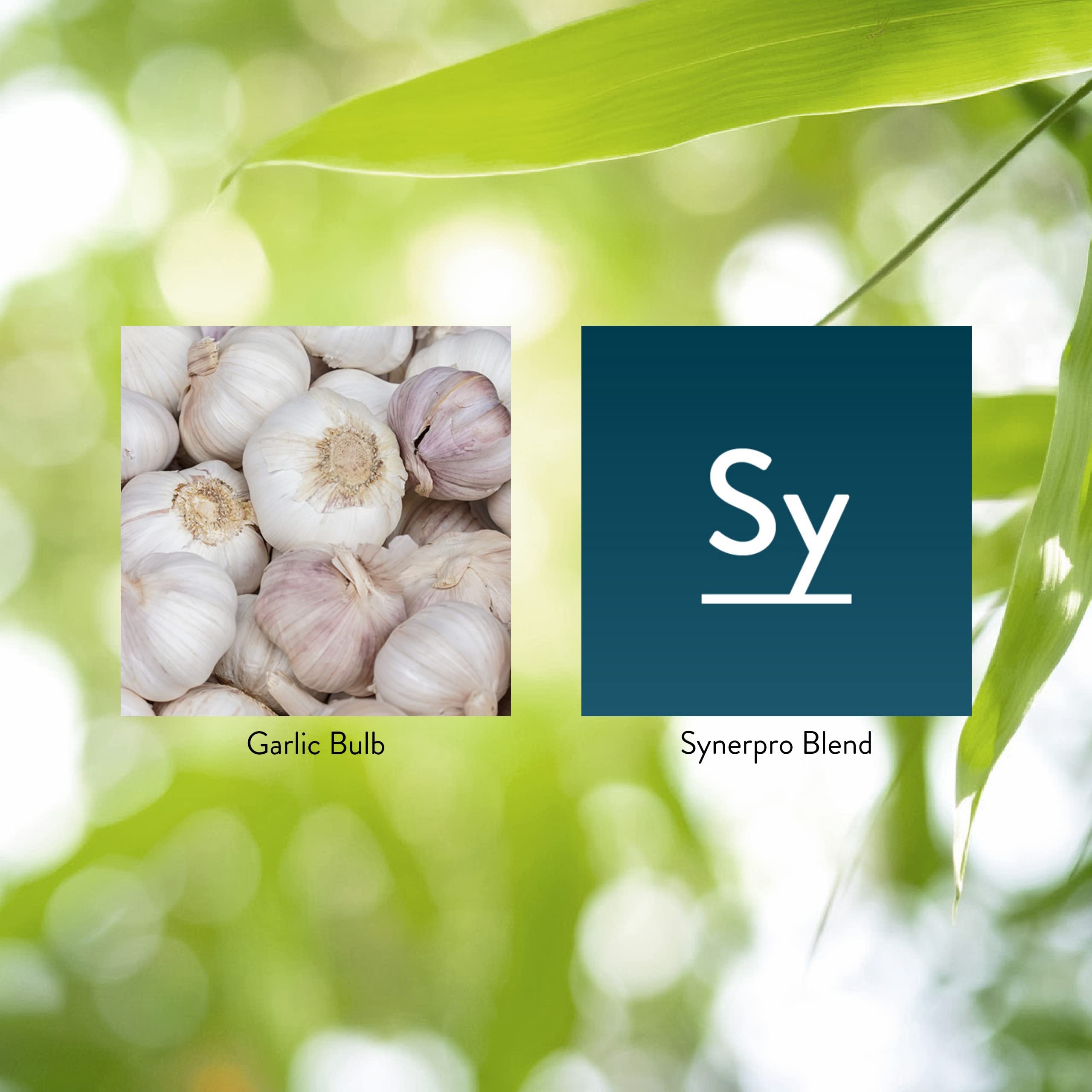 Coated garlic tablets highlighting odor-control feature with chlorophyll on Nature's Sunshine packaging