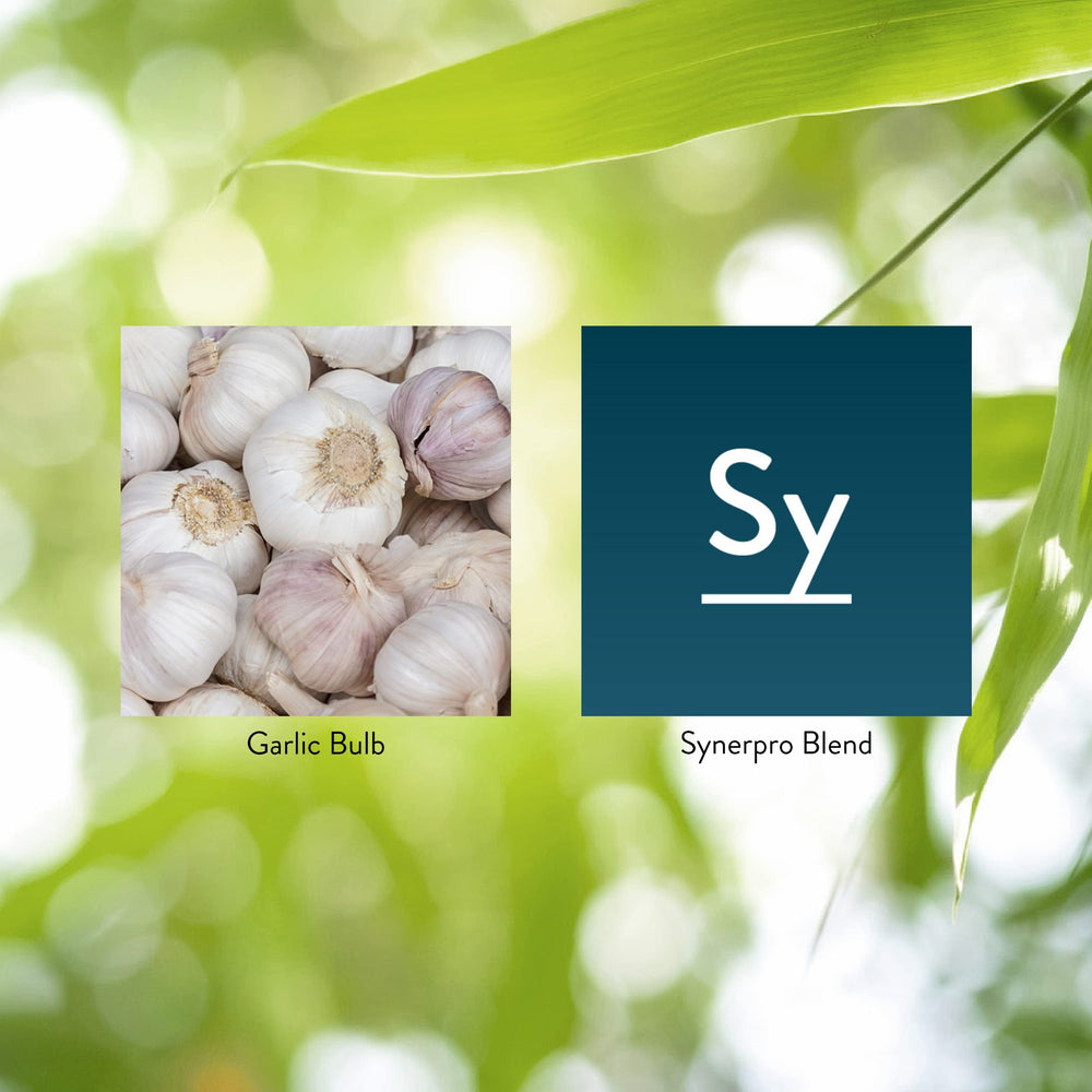 Coated garlic tablets highlighting odor-control feature with chlorophyll on Nature's Sunshine packaging