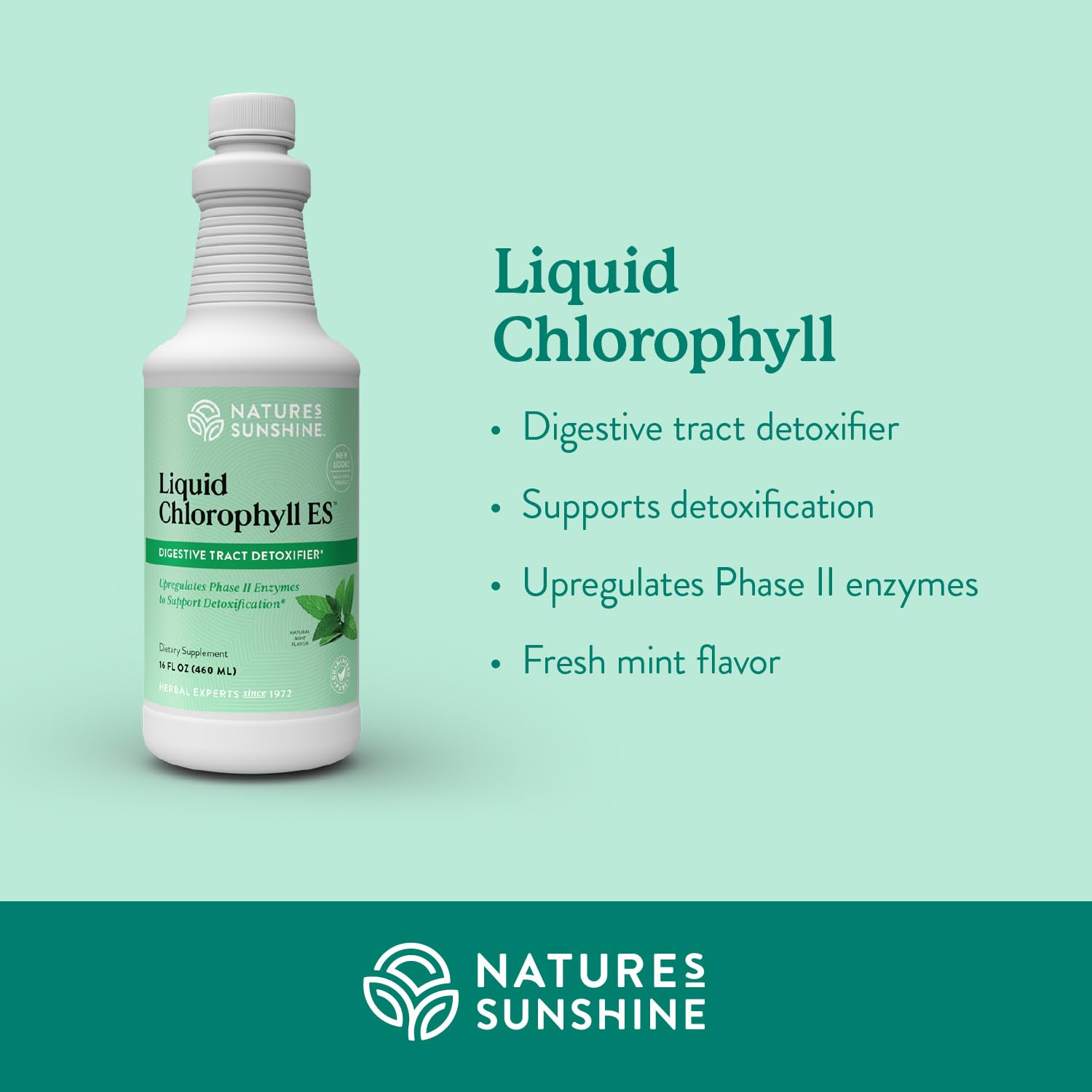Nature's Sunshine Liquid Chlorophyll with spearmint oil bottle highlighting fresh flavor.