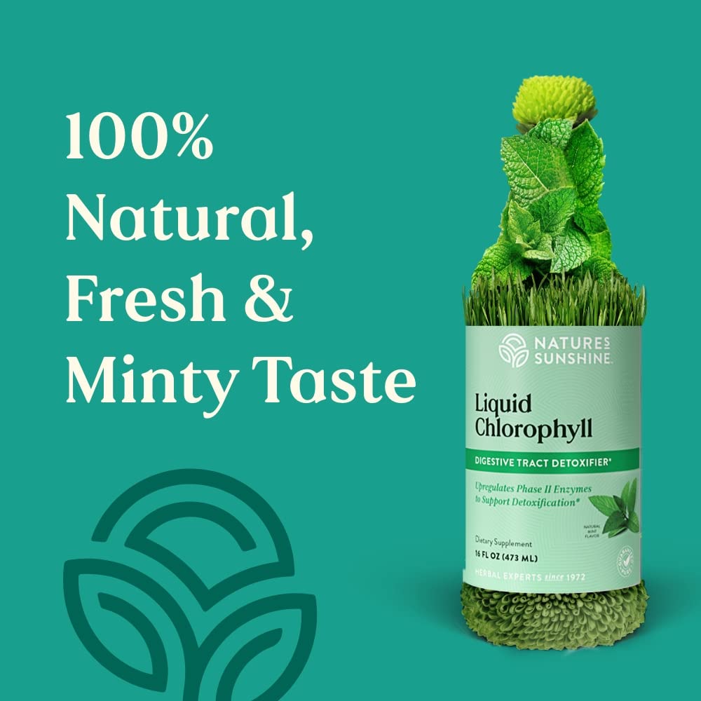 Closeup of spearmint oil drops and chlorophyll for breath-friendly mix