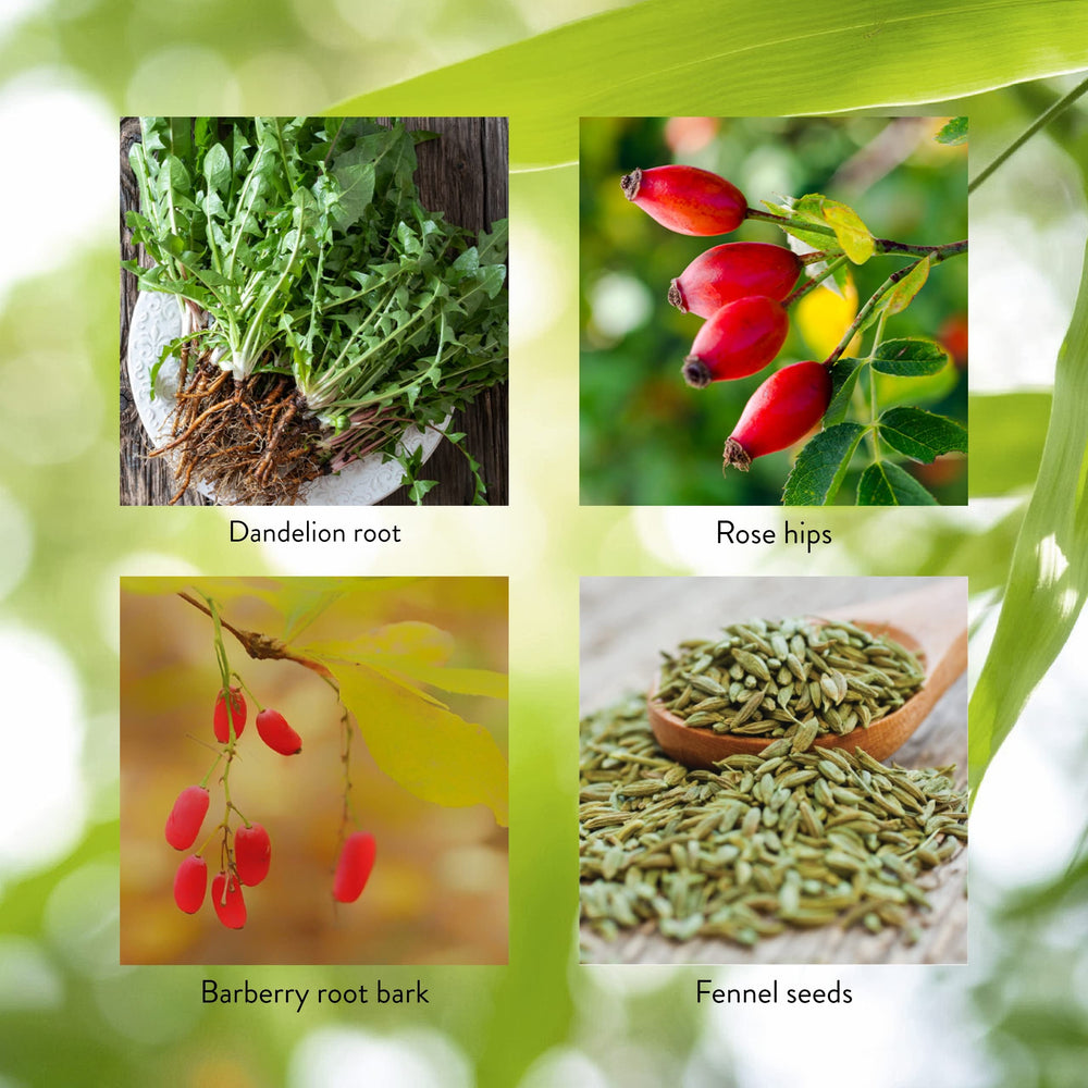 Rose hips in LIV-J provide natural vitamin C to the blend.
