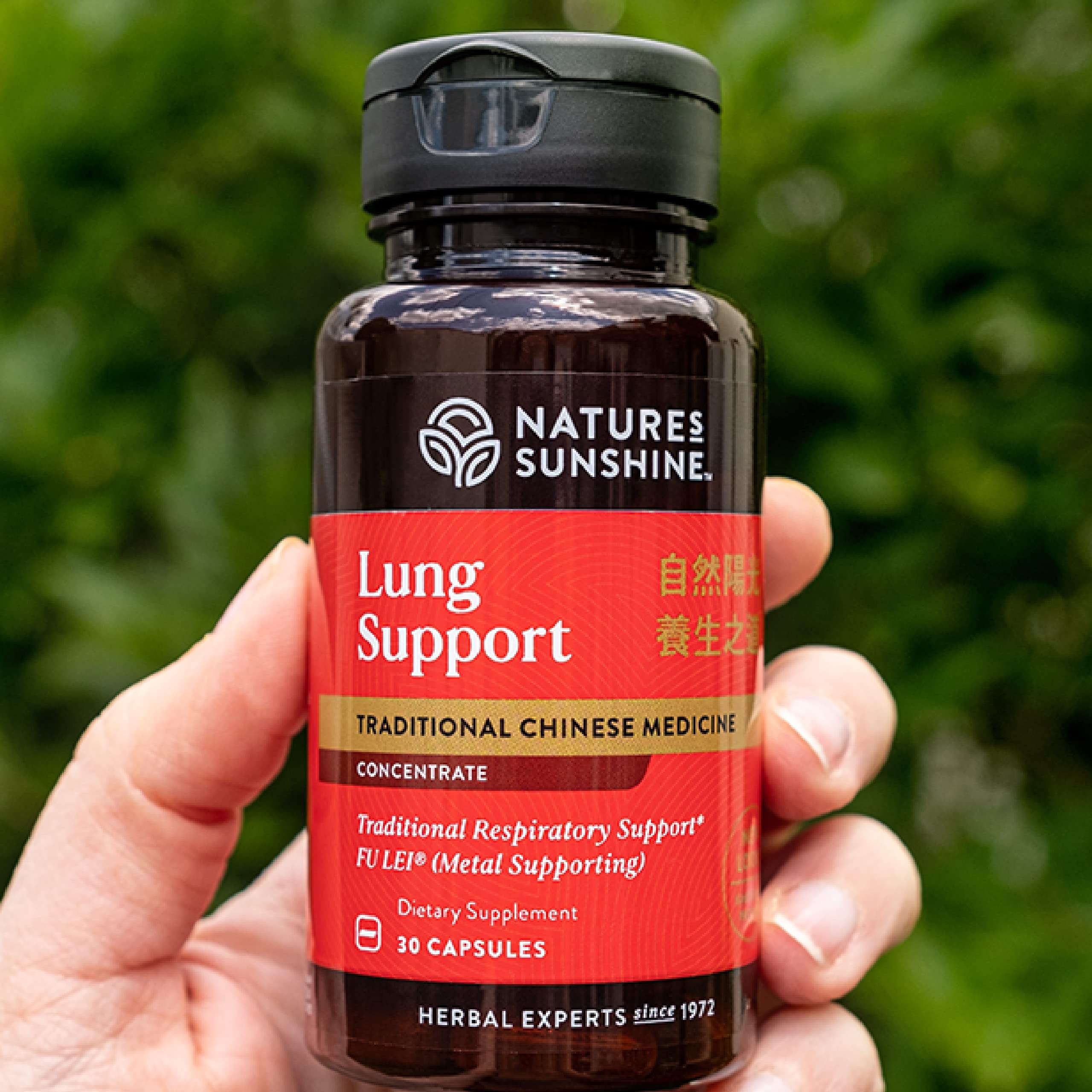 Nature's Sunshine Lung Support Chinese TCM Concentrate capsules for daily use