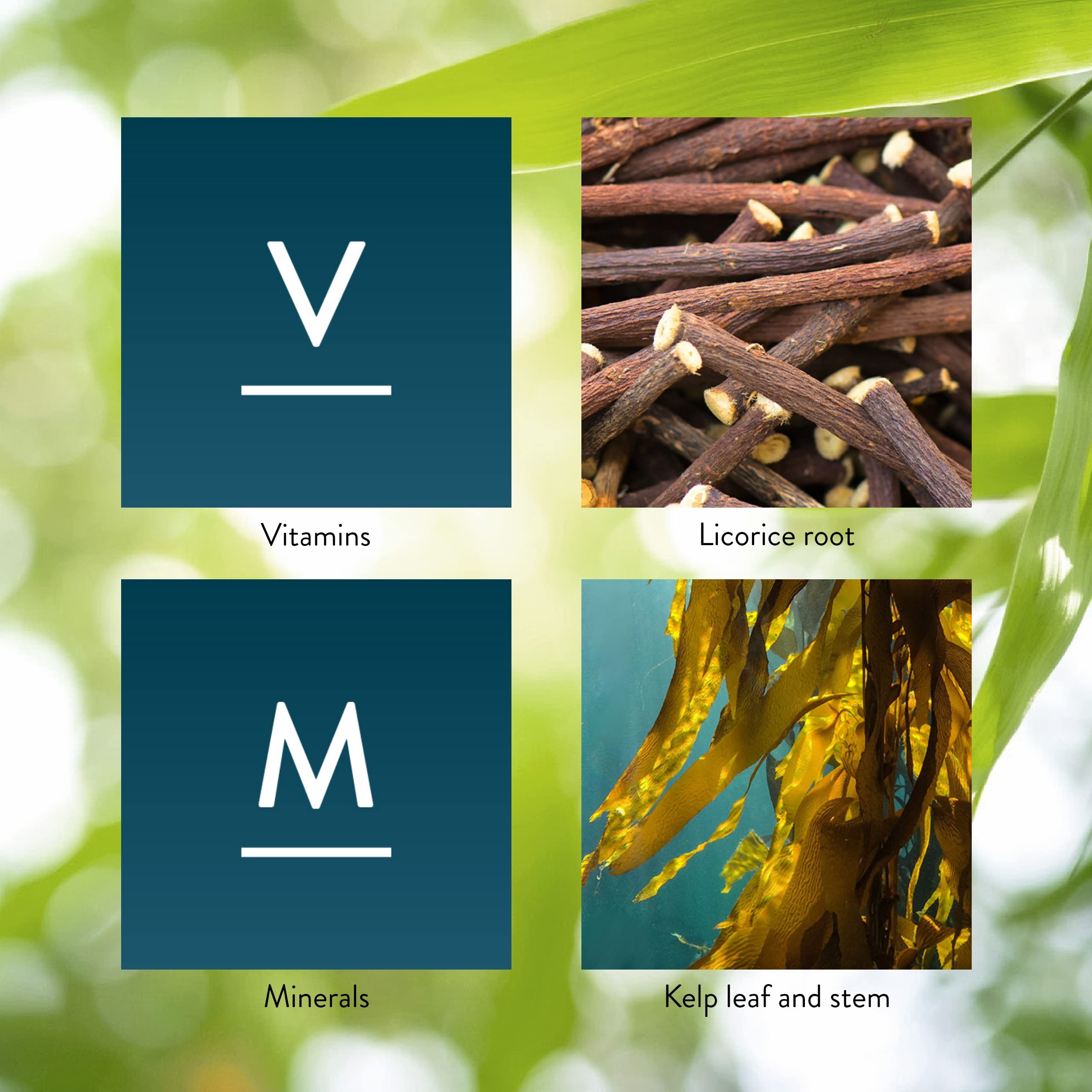 Nature's Sunshine Master Gland antioxidant-rich formula supports cellular defenses.