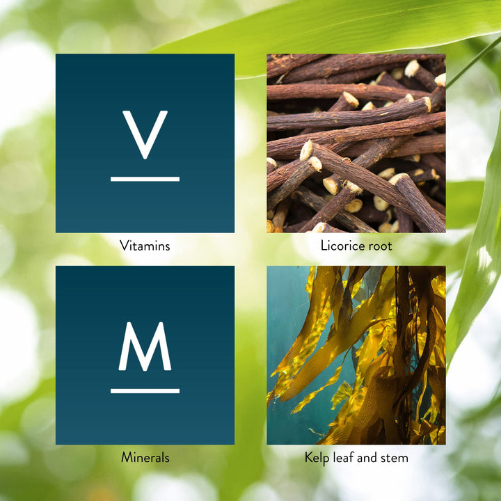 Nature's Sunshine Master Gland antioxidant-rich formula supports cellular defenses.