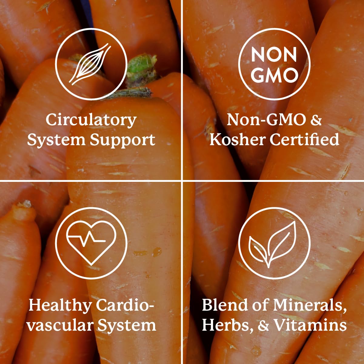 Nature's Sunshine Mega-Chel capsules in hand as a practical supplement choice