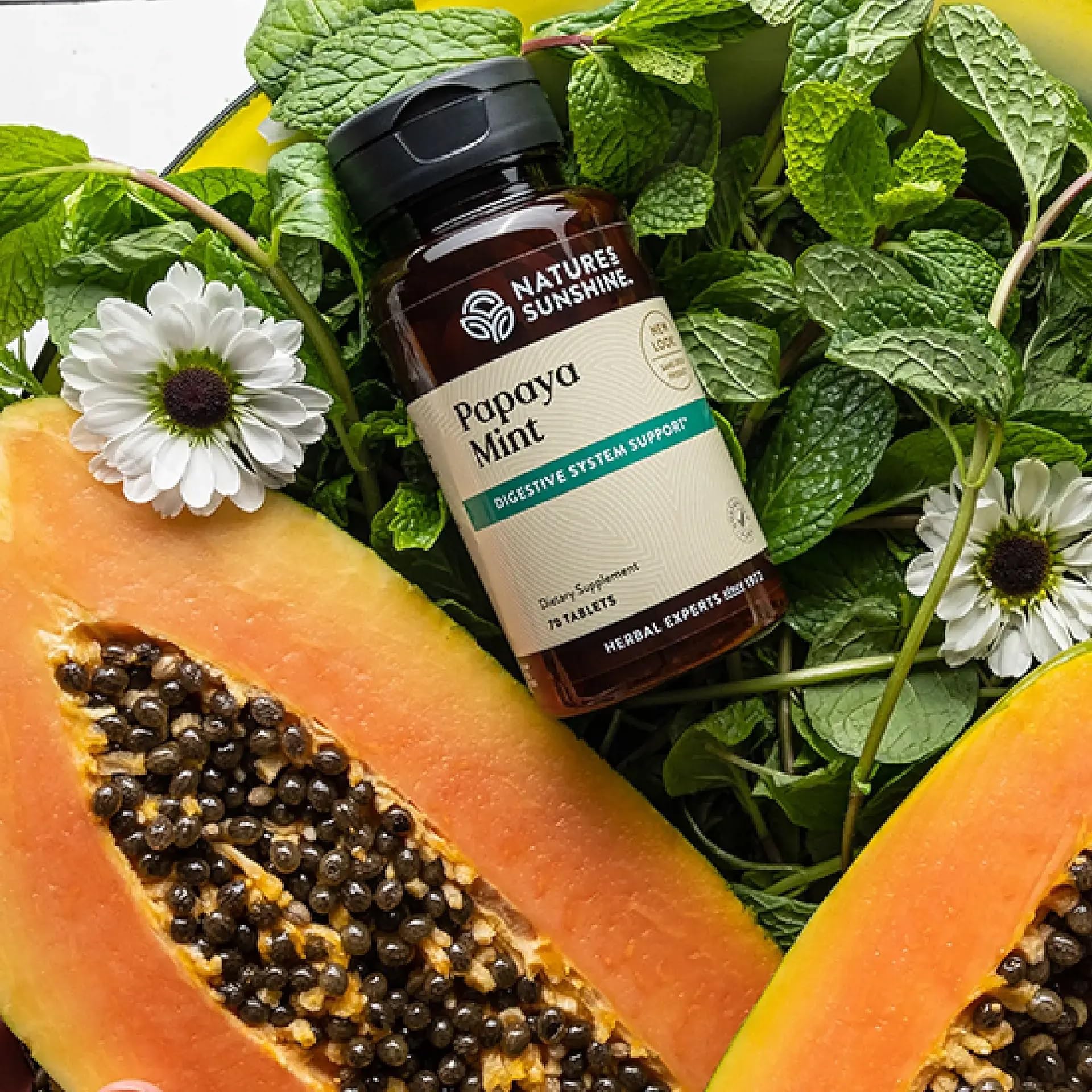Closeup of Nature's Sunshine Papaya Mint bottle showing convenient daily use.