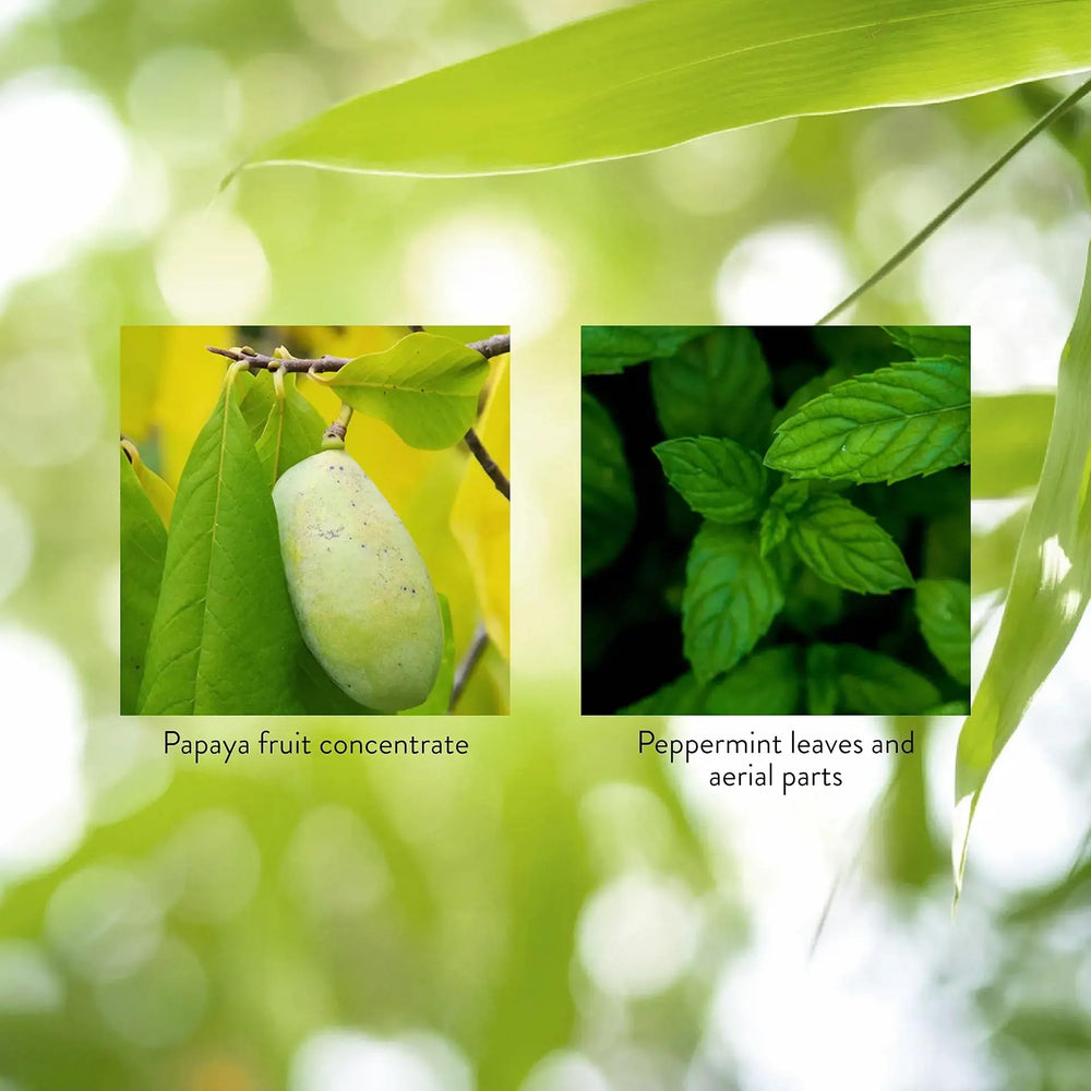 Nature's Sunshine Papaya Mint ingredients label highlighting natural components.