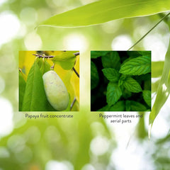 Nature's Sunshine Papaya Mint ingredients label highlighting natural components.