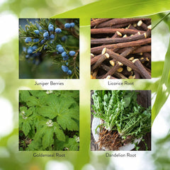 Nature's Sunshine Pro-Pancreas capsules closeup, natural ingredients for digestive support