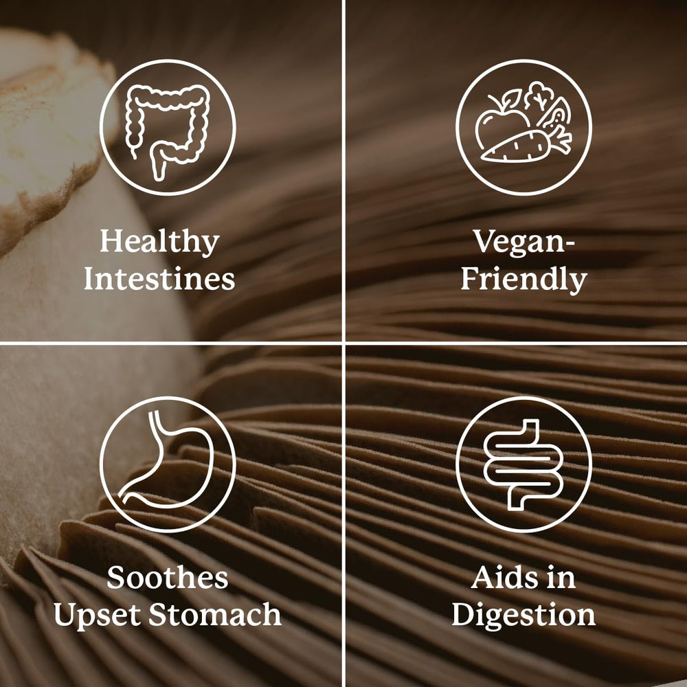Nature's Sunshine Proactazyme bottle back panel shows directions and benefits.