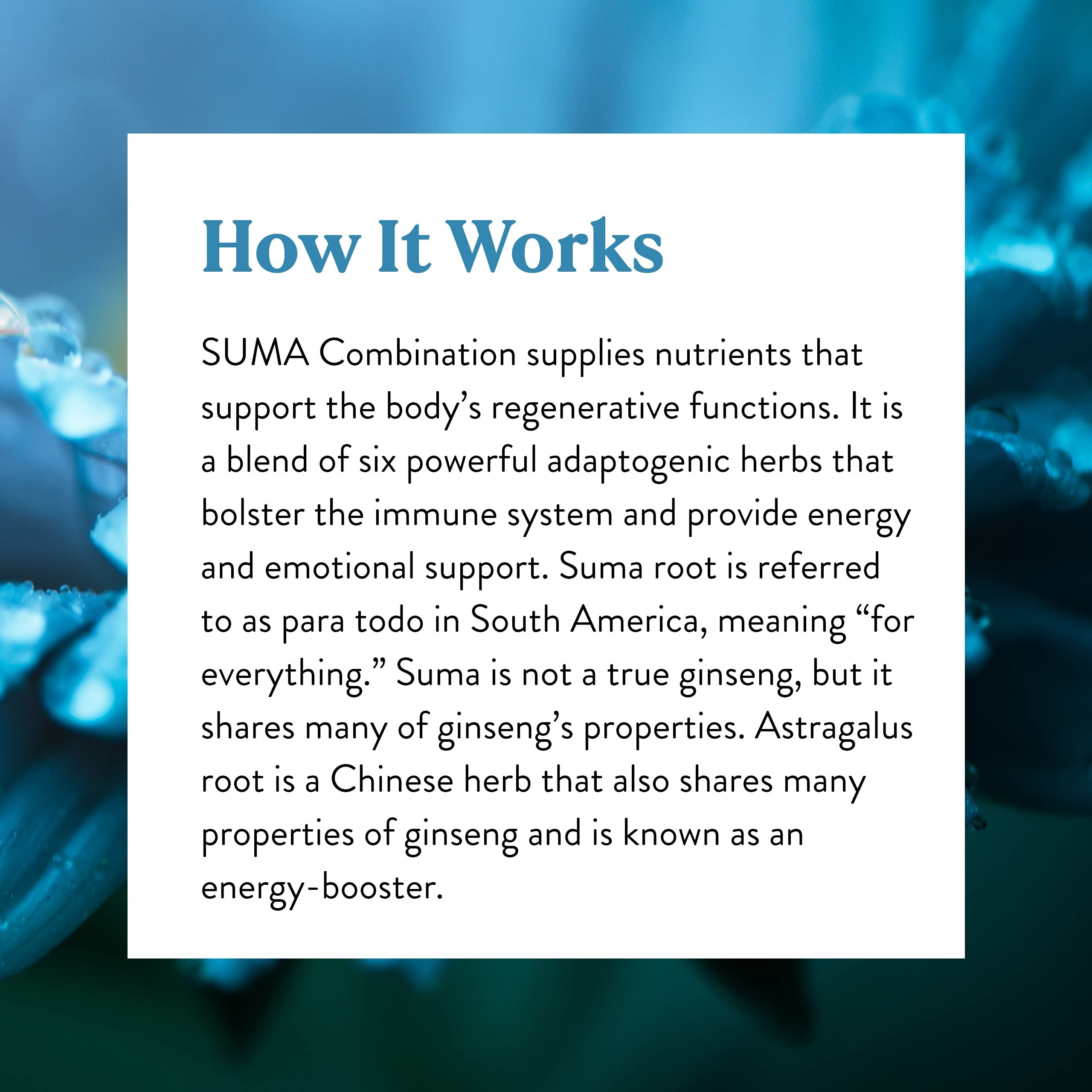 Nature's Sunshine Suma Combination immunity-focused scene highlights wellness routines.