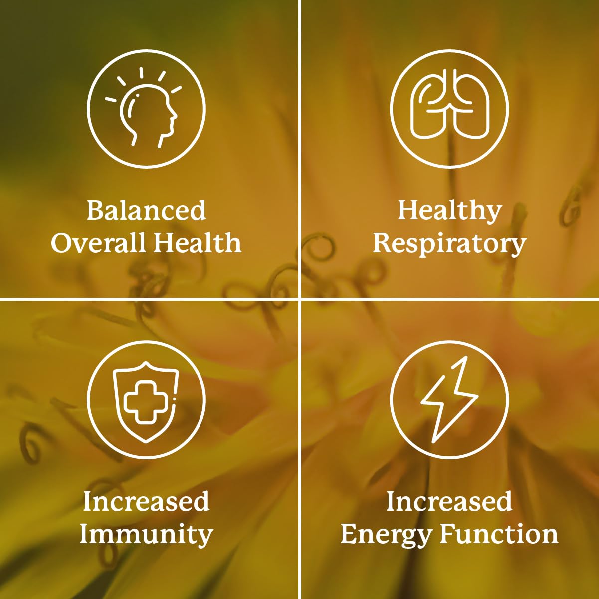 Packaging box for Nature's Sunshine VS-C TCM concentrate signaling quality and origin.