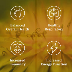 Packaging box for Nature's Sunshine VS-C TCM concentrate signaling quality and origin.