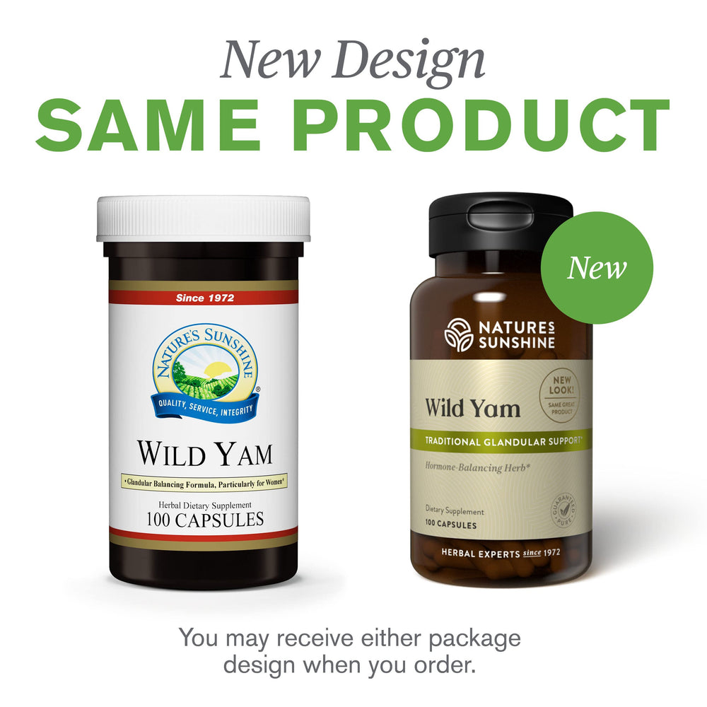 Nature's Sunshine Wild Yam capsules in hand, supporting balanced daily routines