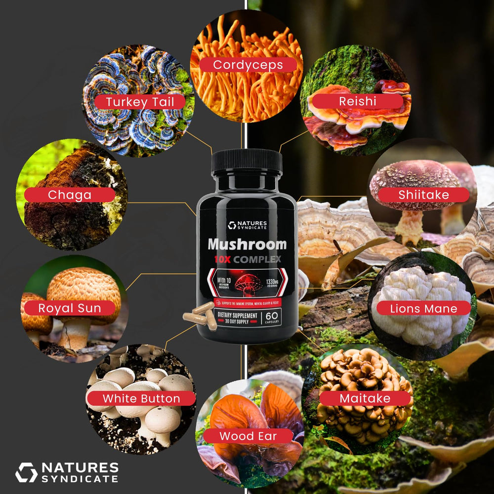 Natures Syndicate Mushroom Complex pack on shelf illustrating complete daily supplement routine.