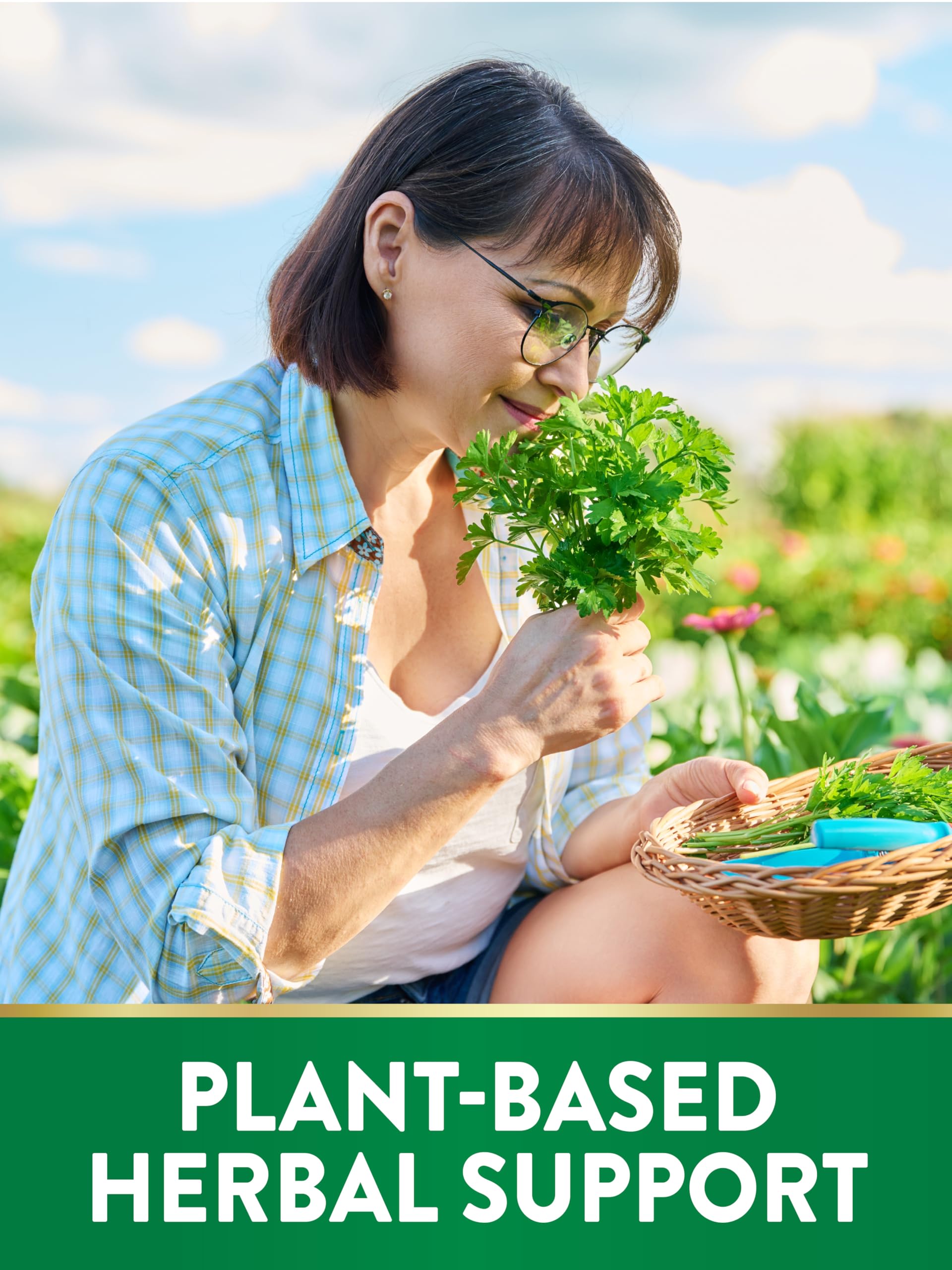 Nature's Truth odorless garlic parsley softgels ingredients panel emphasizes gluten-free and non-GMO.