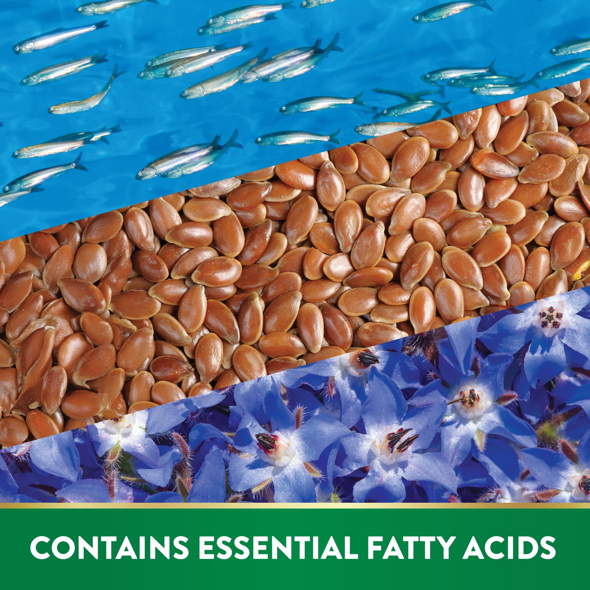Open bottle showing convenient softgels for easy daily intake.