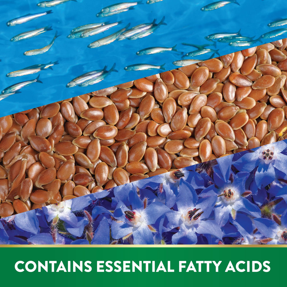 Open bottle showing convenient softgels for easy daily intake.
