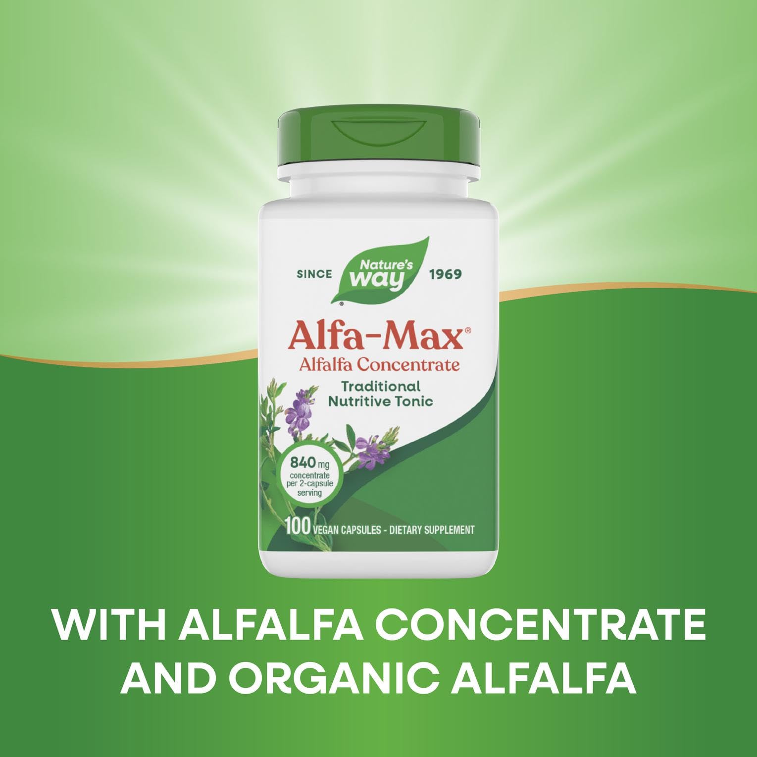 Alfalfa plant image highlighting leaf, stem, and flower components